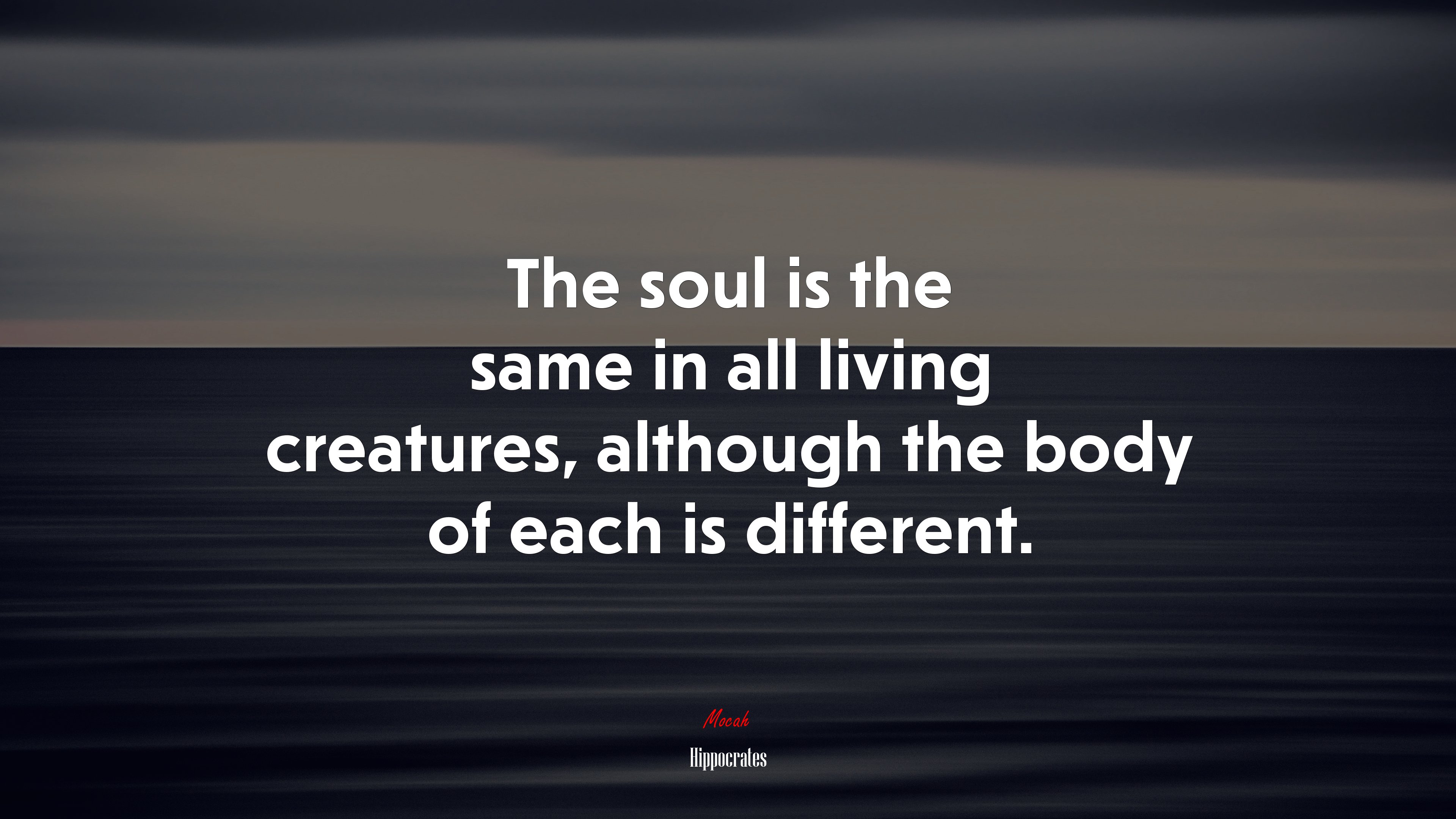 The soul is the same in all living creatures, although the body of each is different. | Hippocrates quote HD Wallpaper