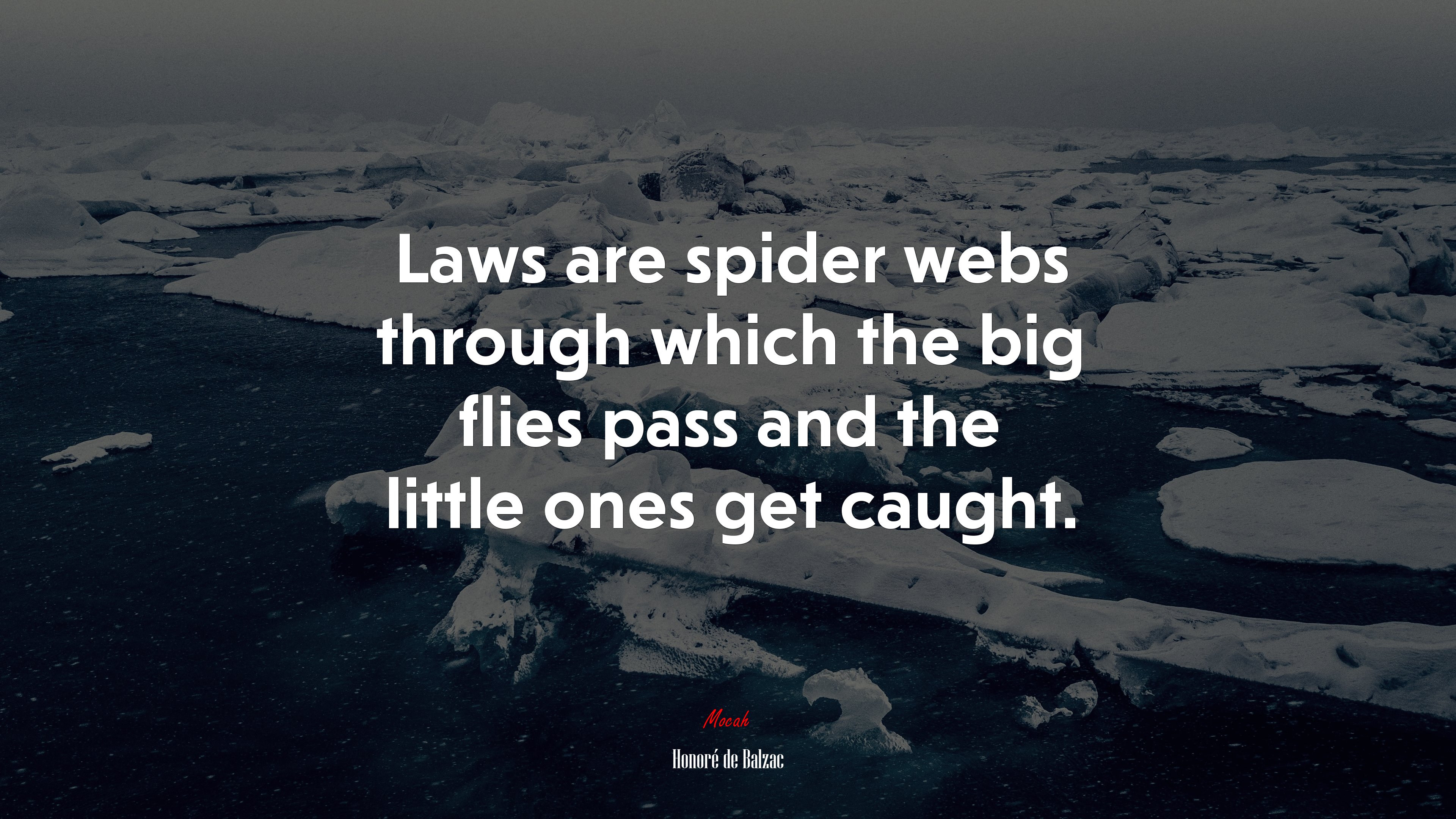 Laws are spider webs through which the big flies pass and the little ones get caught. | Honoré de Balzac quote HD Wallpaper