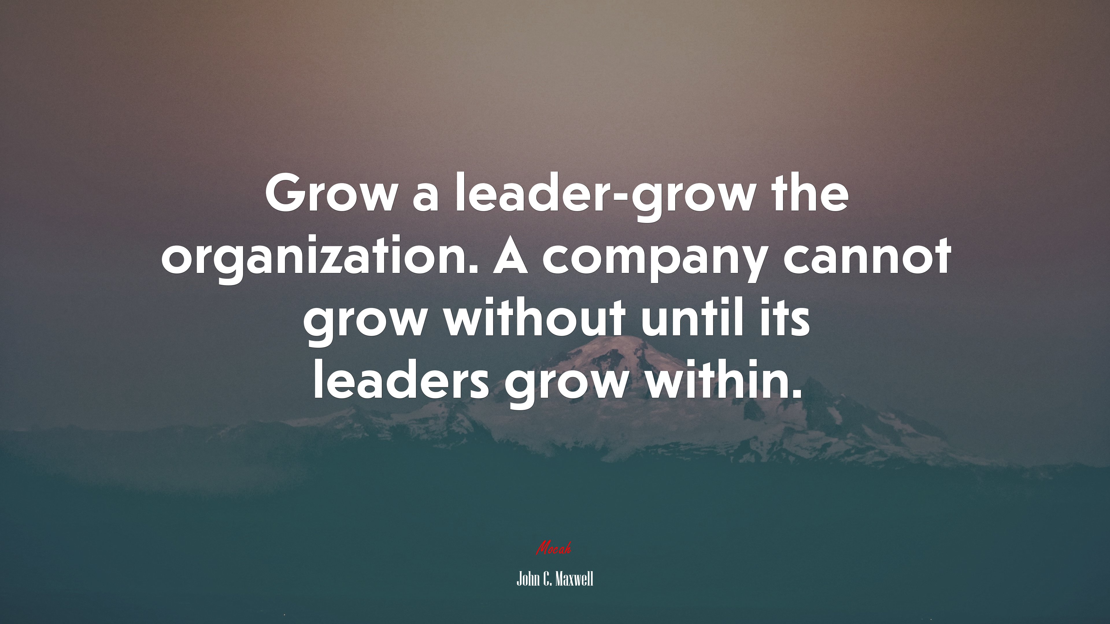 Grow a leader-grow the organization. A company cannot grow without until its leaders grow within. | John C. Maxwell quote HD Wallpaper