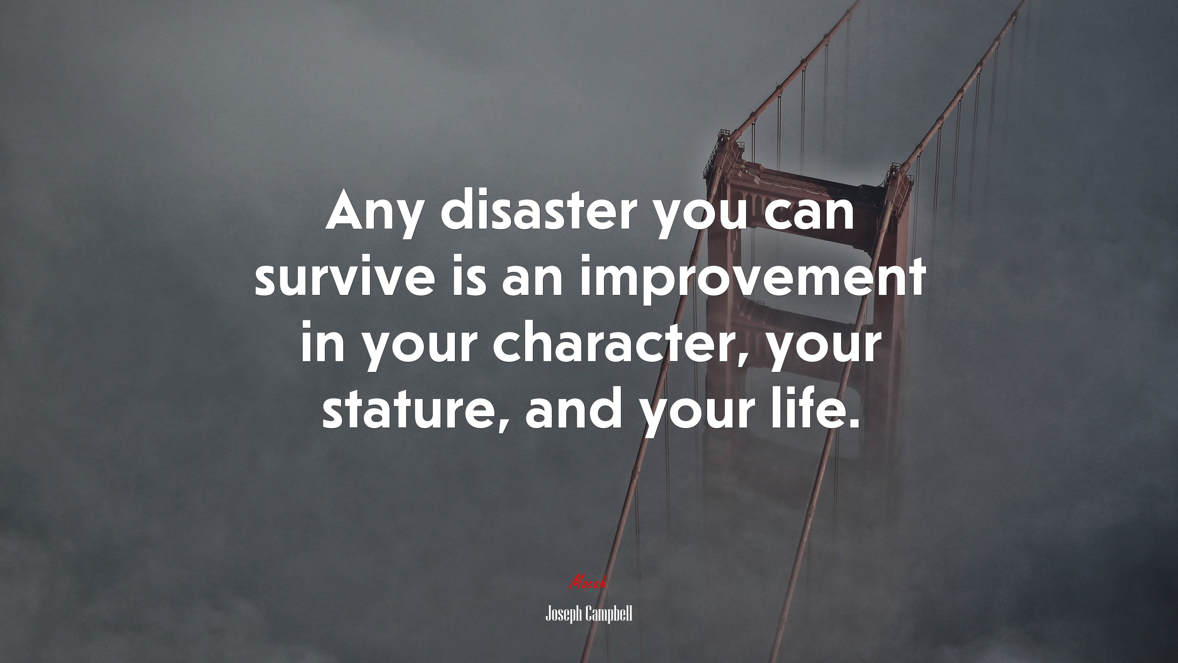 Any disaster you can survive is an improvement in your character, your stature, and your life. | Joseph Campbell quote HD Wallpaper