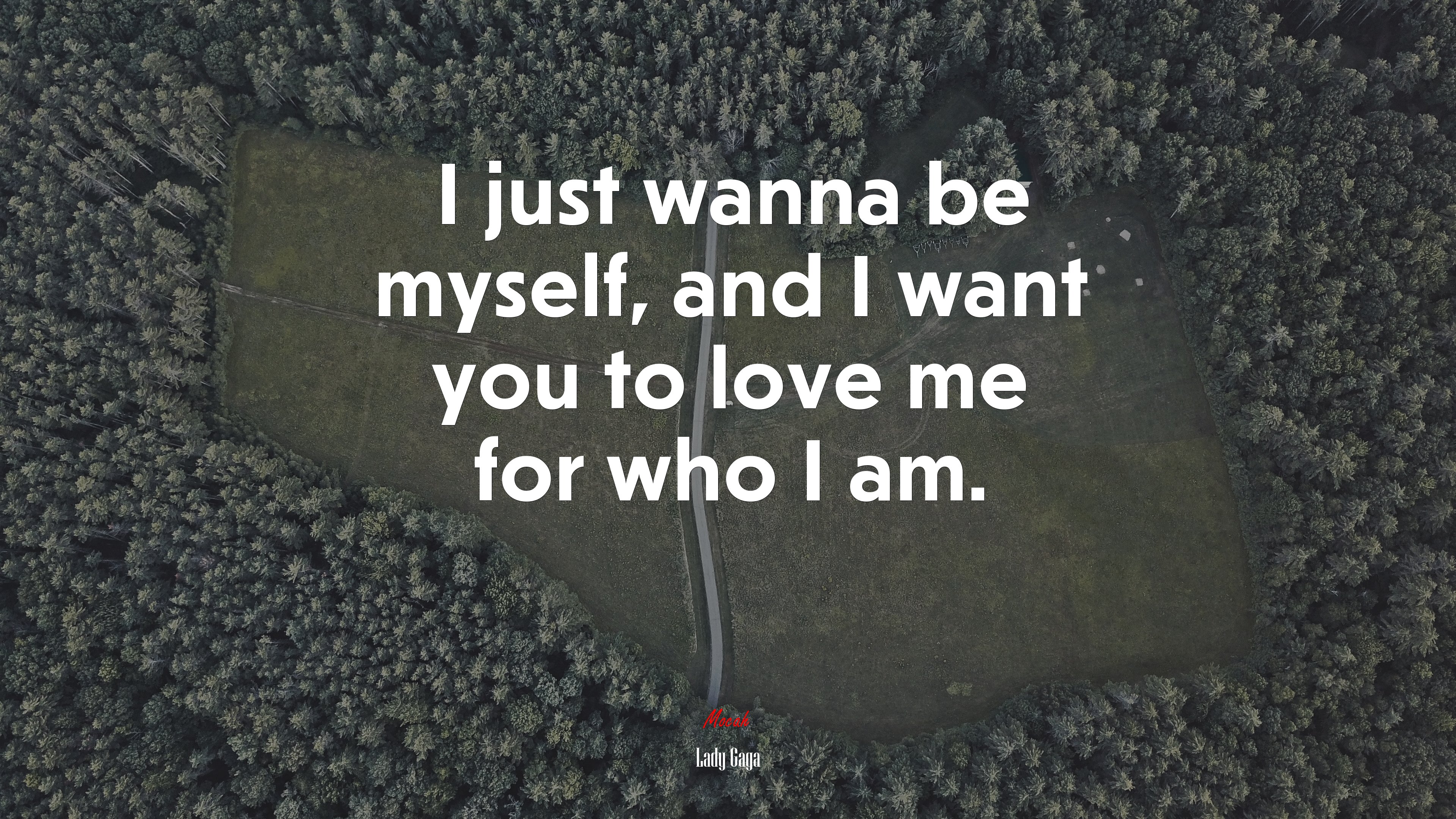 I just wanna be myself, and I want you to love me for who I am. | Lady Gaga quote HD Wallpaper