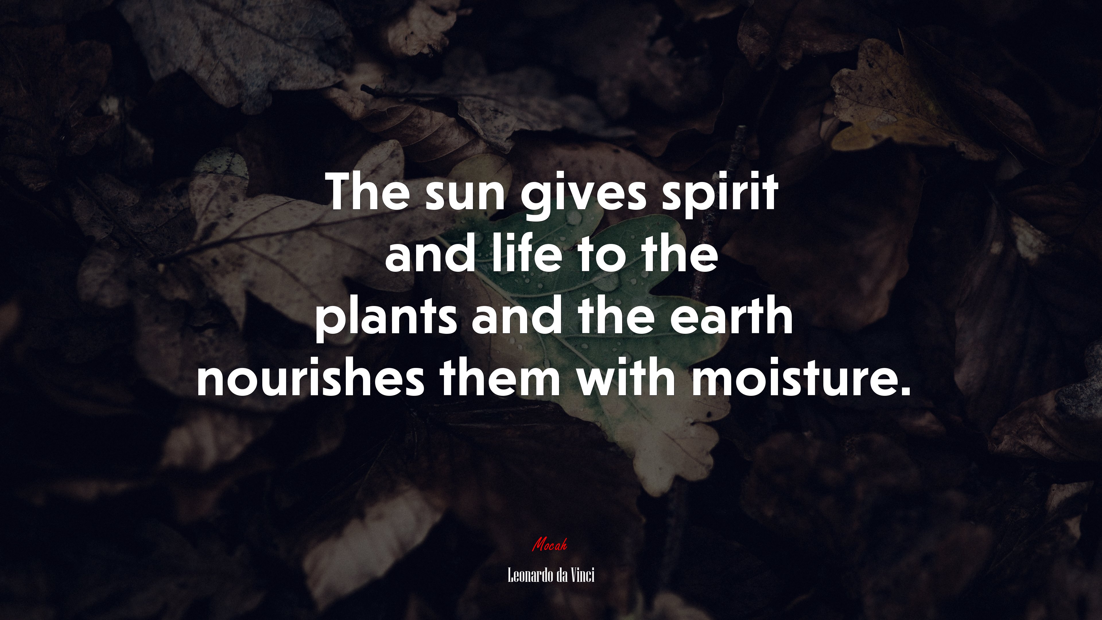 The sun gives spirit and life to the plants and the earth nourishes them with moisture. | Leonardo da Vinci quote HD Wallpaper