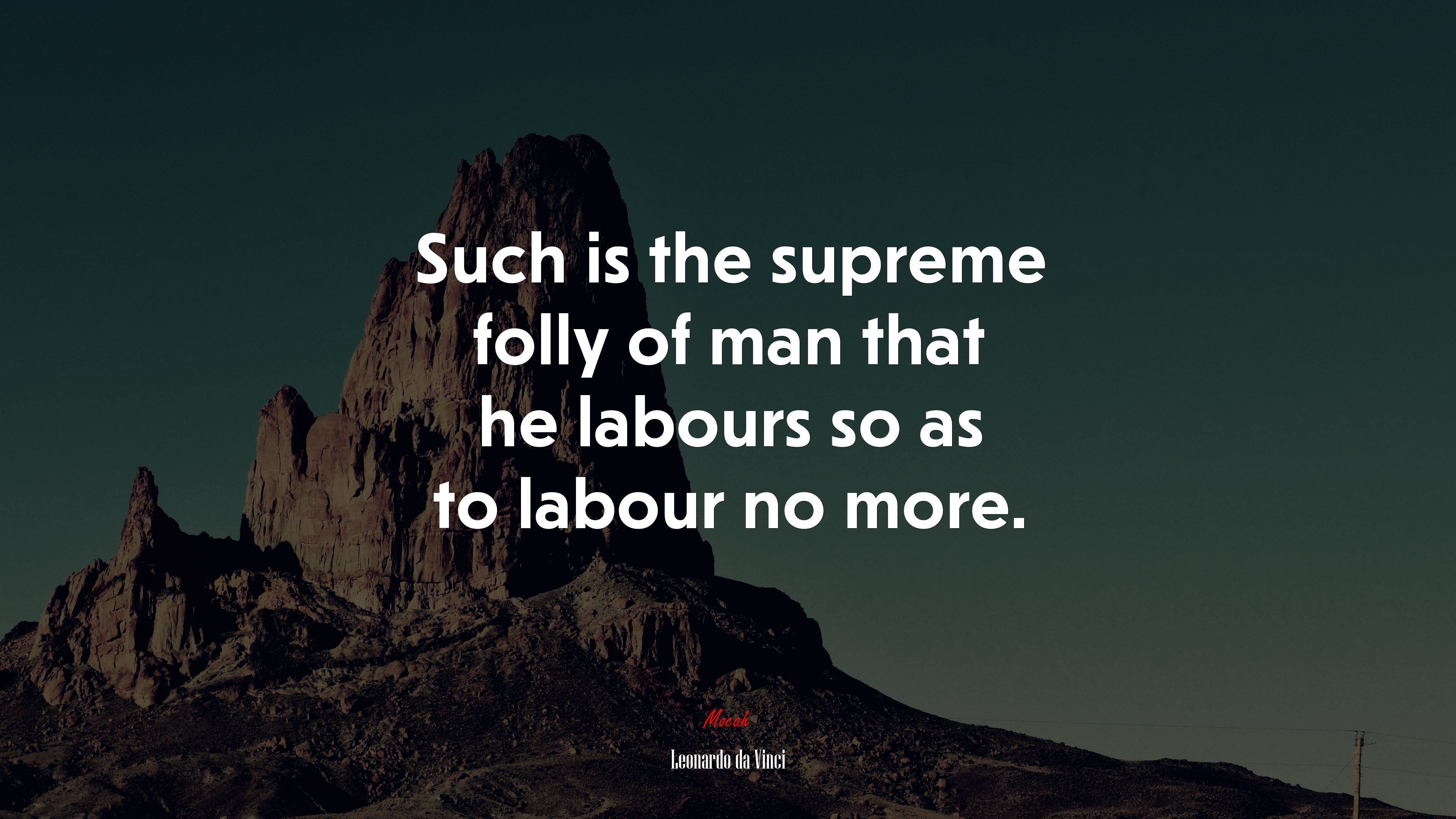 Such is the supreme folly of man that he labours so as to labour no more. | Leonardo da Vinci quote HD Wallpaper