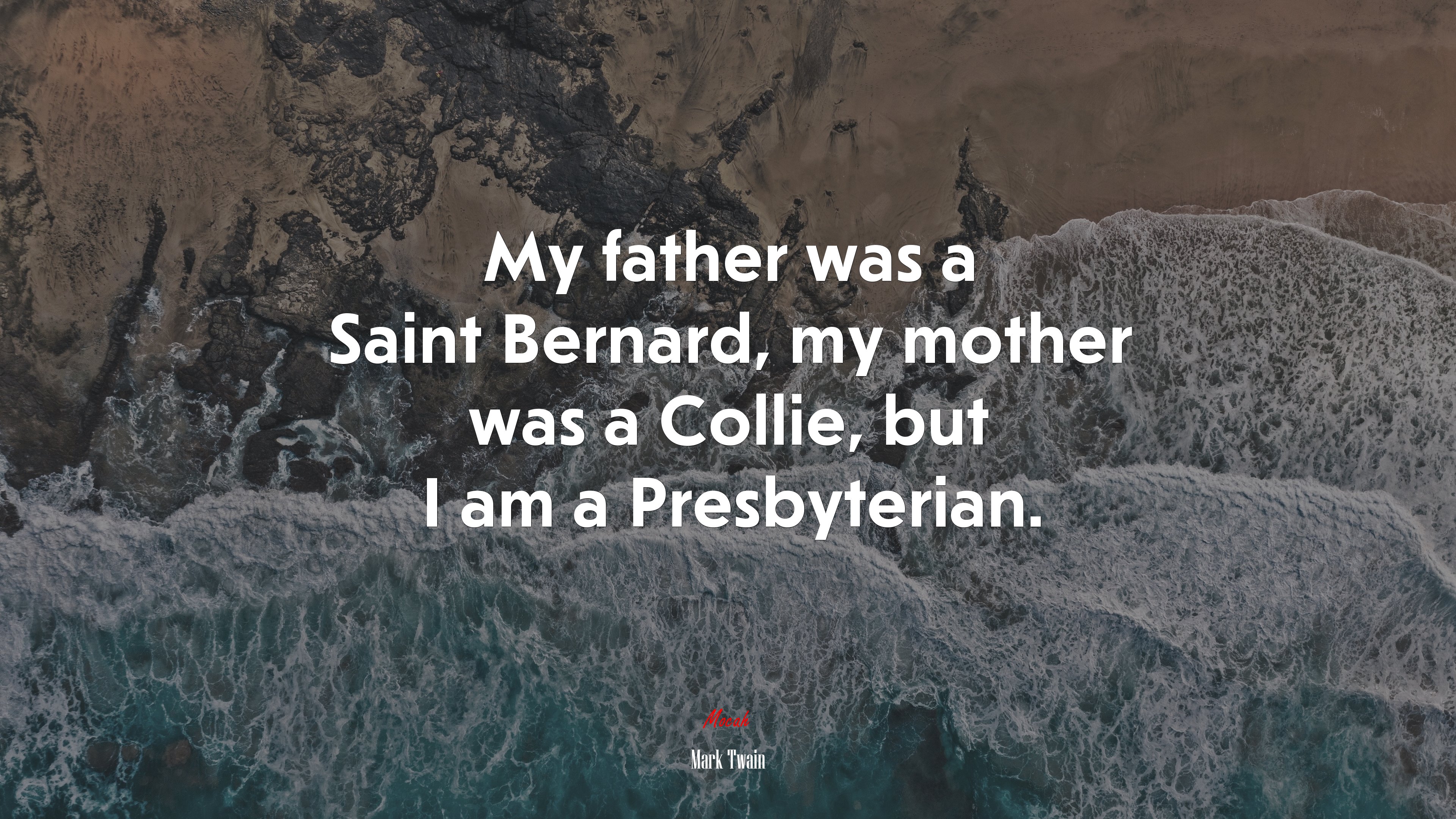 My father was a Saint Bernard, my mother was a Collie, but I am a Presbyterian. | Mark Twain quote HD Wallpaper