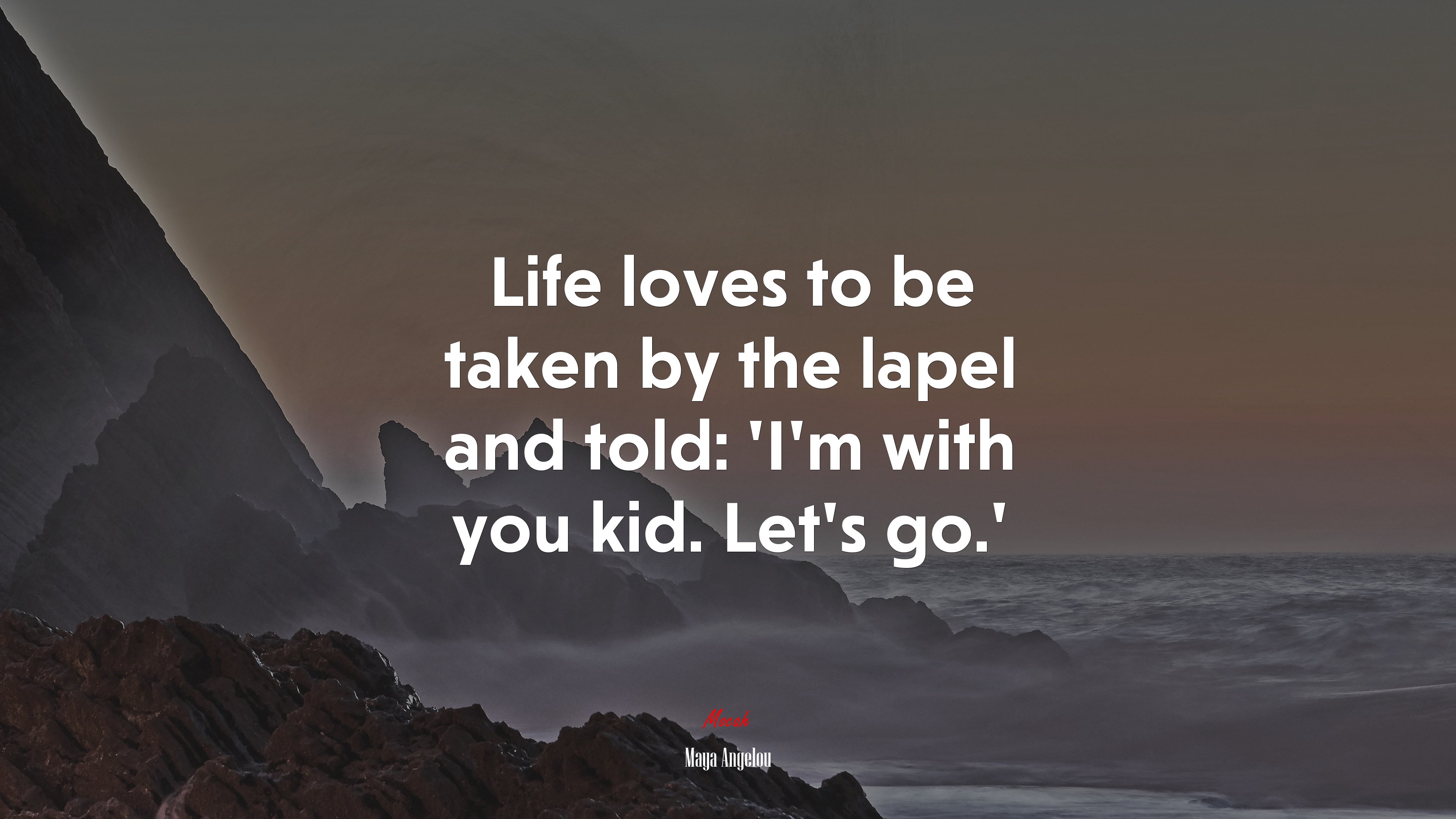 Life loves to be taken by the lapel and told: ‘I’m with you kid. Let’s go.’ | Maya Angelou quote HD Wallpaper