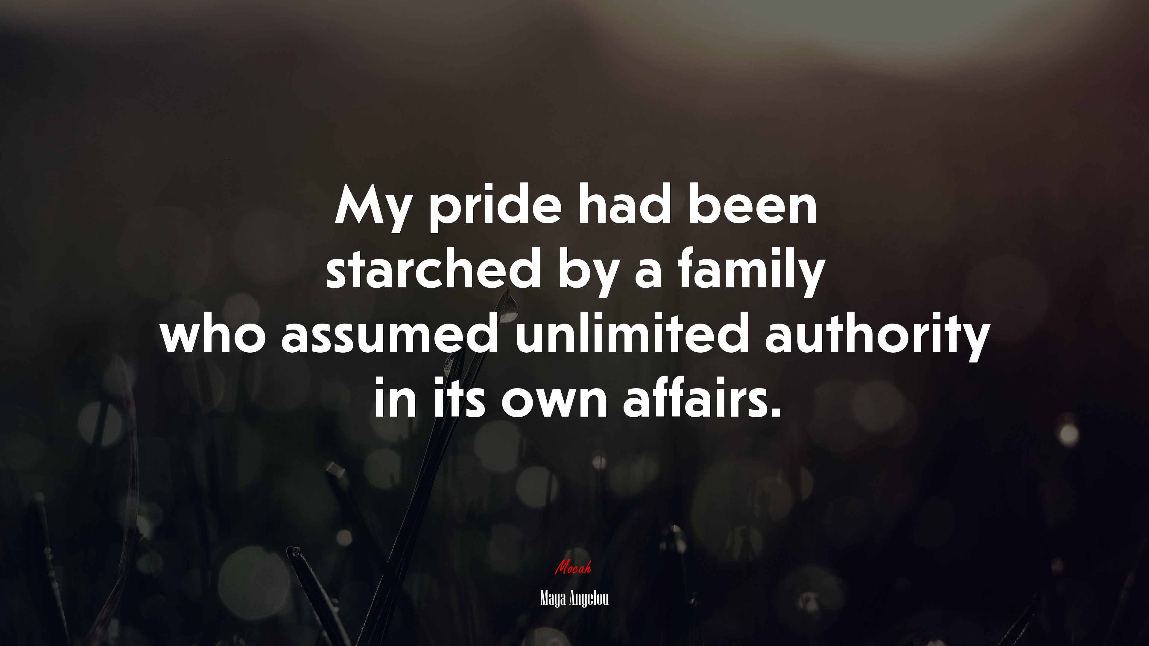 My pride had been starched by a family who assumed unlimited authority in its own affairs. | Maya Angelou quote HD Wallpaper