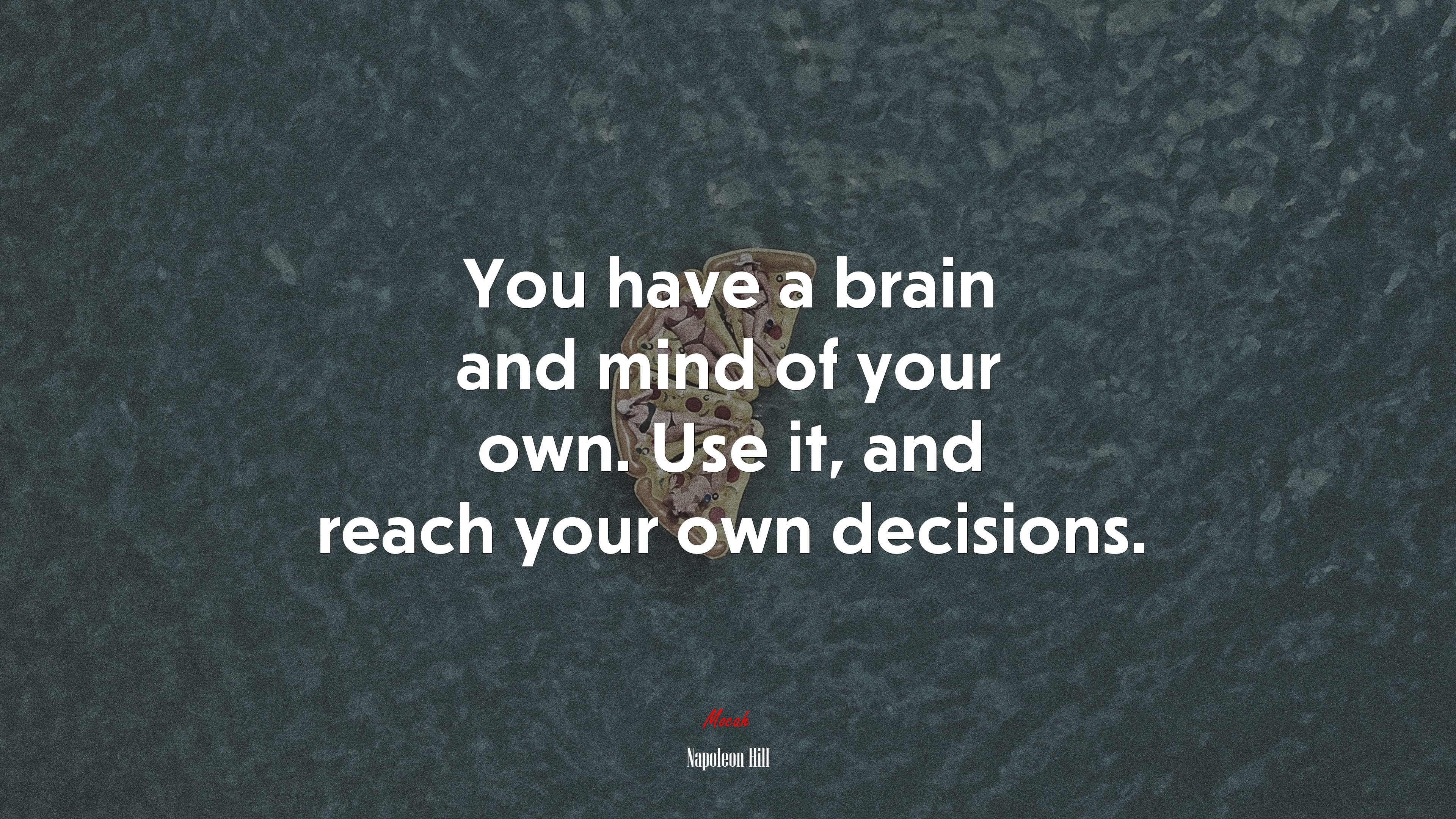 You have a brain and mind of your own. Use it, and reach your own decisions. | Napoleon Hill quote HD Wallpaper
