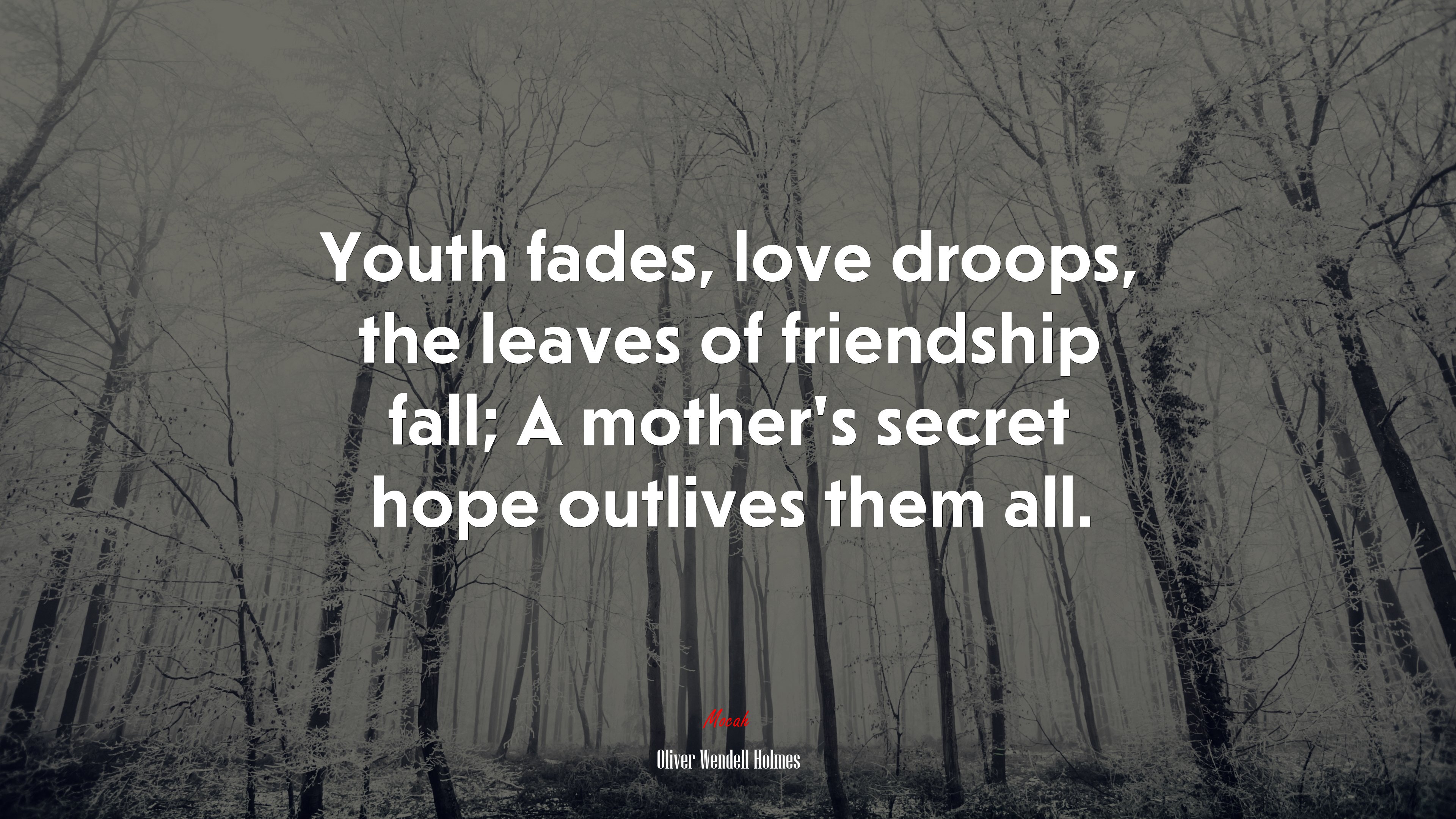 Youth fades, love droops, the leaves of friendship fall; A mother’s secret hope outlives them all. | Oliver Wendell Holmes quote HD Wallpaper