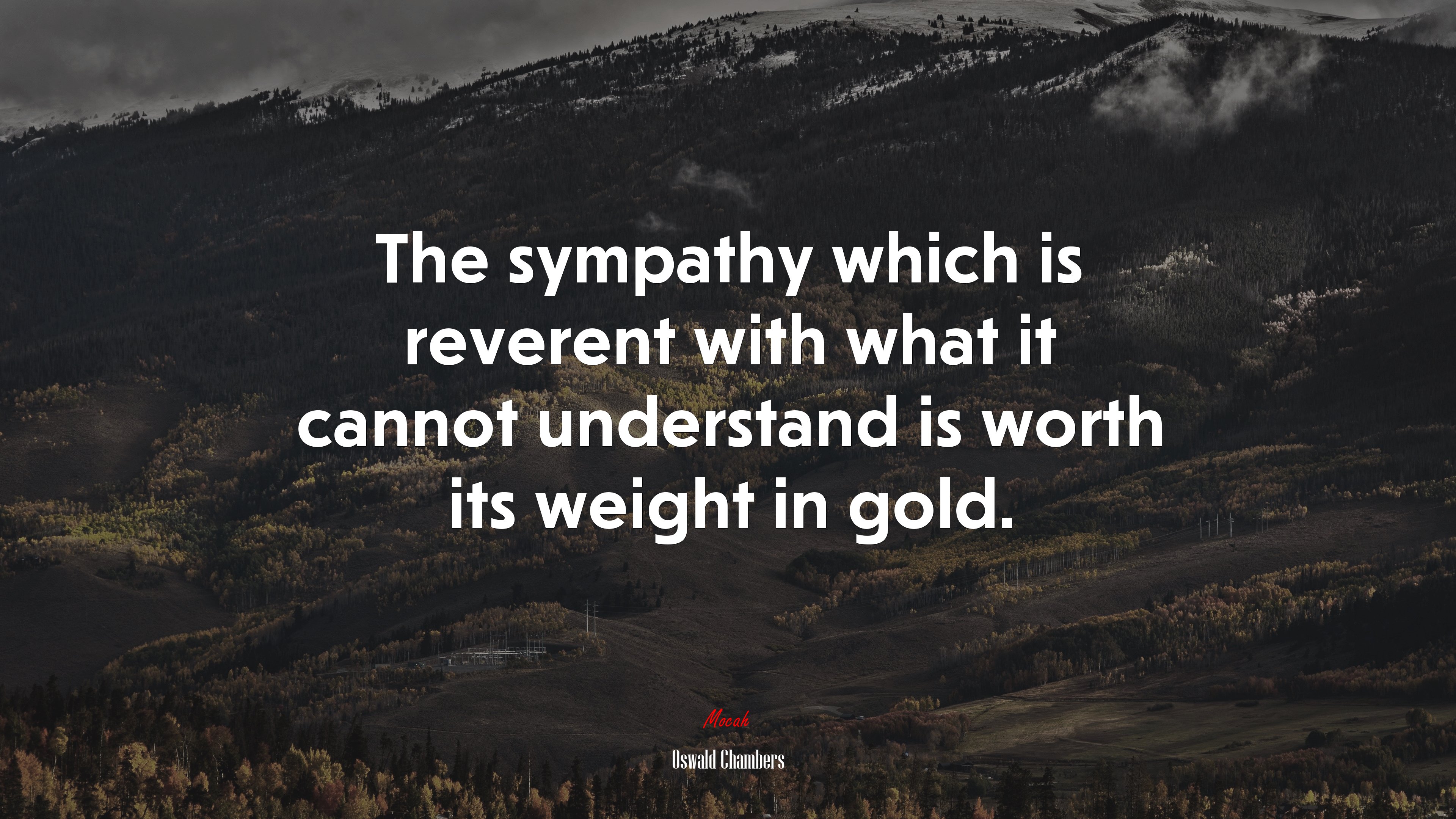 The sympathy which is reverent with what it cannot understand is worth its weight in gold. | Oswald Chambers quote HD Wallpaper
