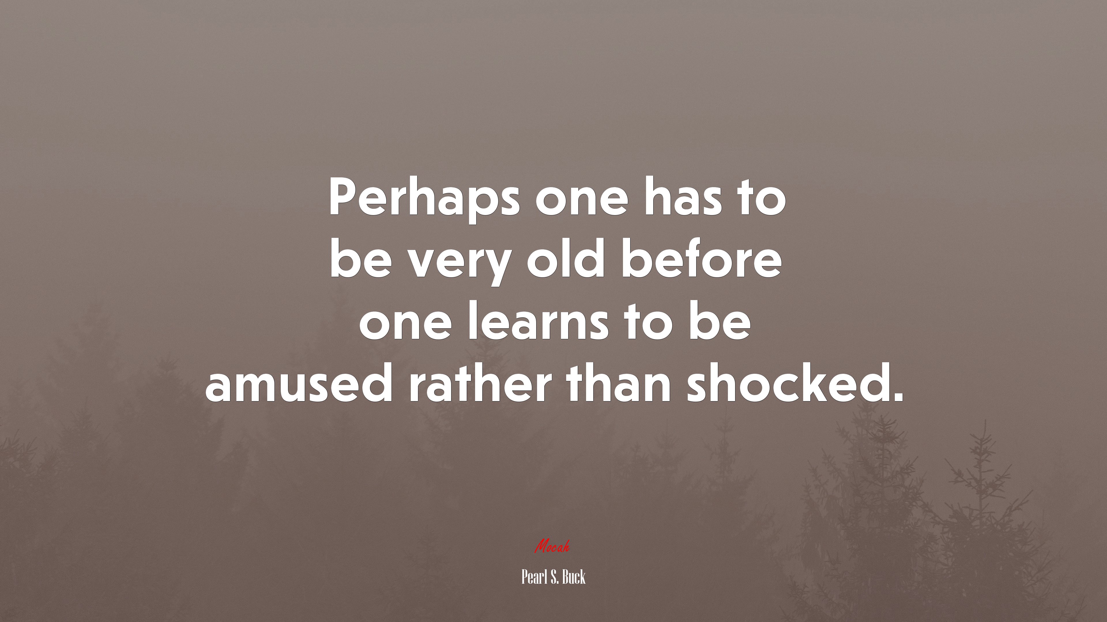 Perhaps one has to be very old before one learns to be amused rather than shocked. | Pearl S. Buck quote HD Wallpaper