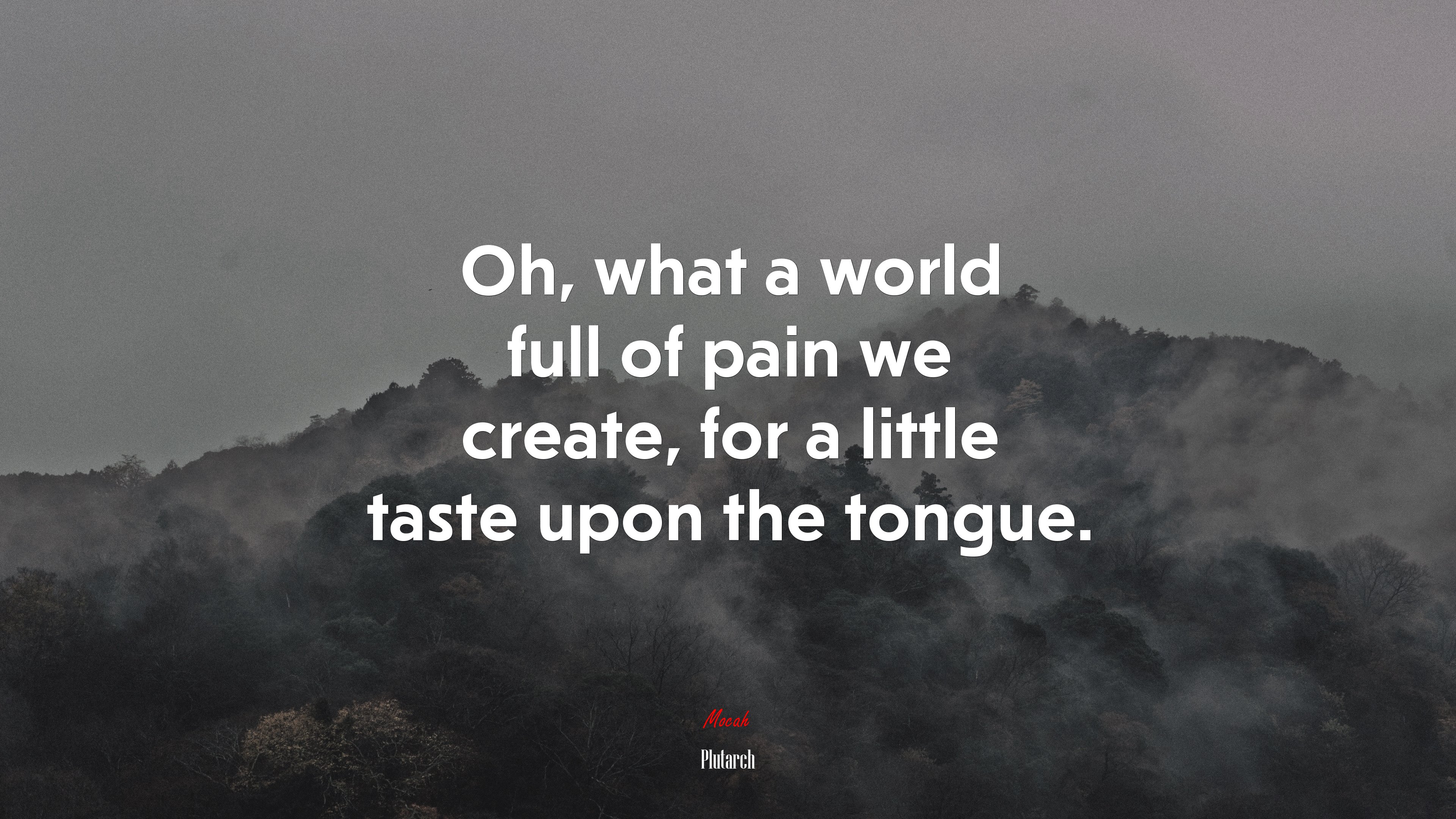 Oh, what a world full of pain we create, for a little taste upon the tongue. | Plutarch quote HD Wallpaper