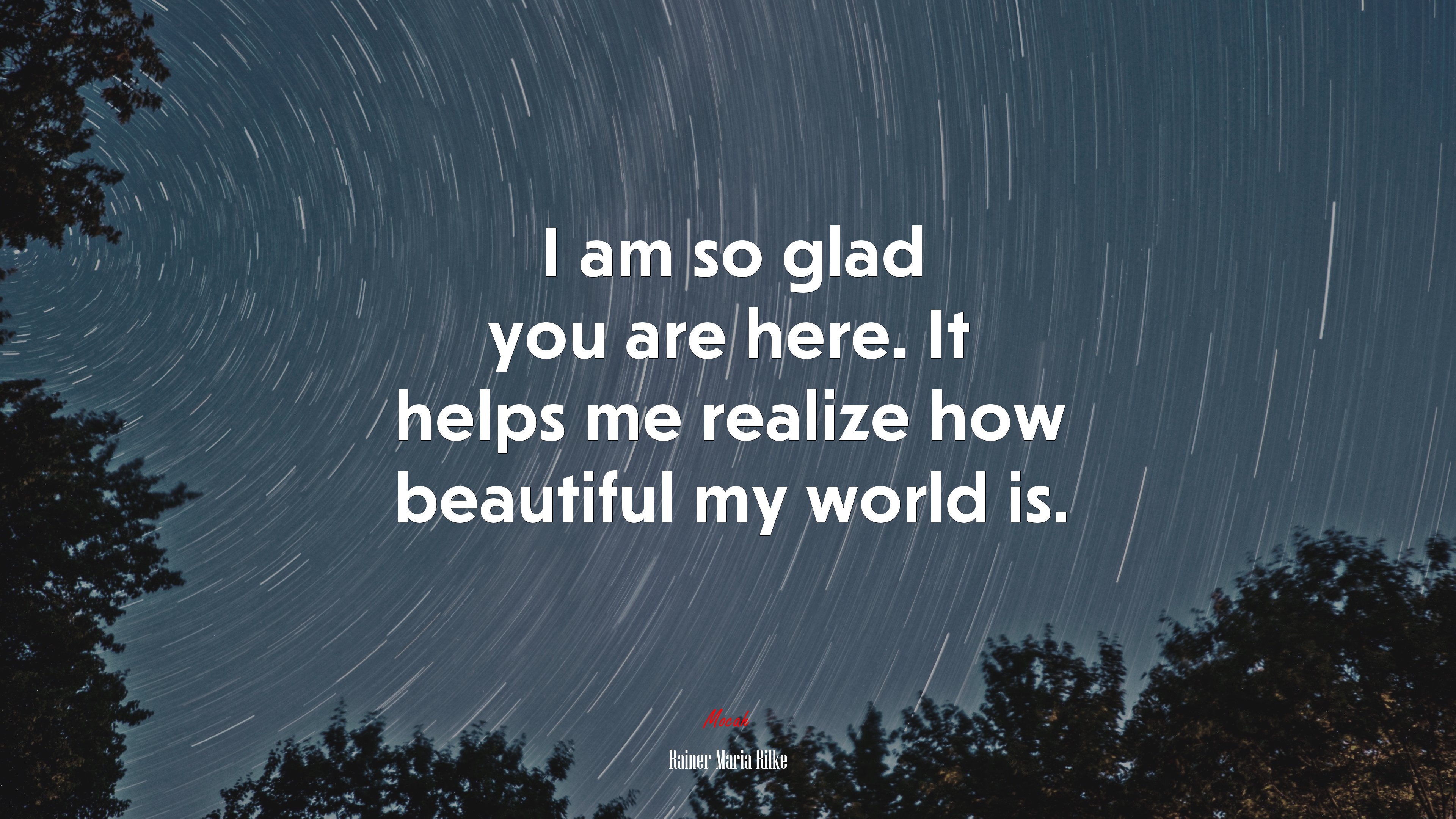 I am so glad you are here. It helps me realize how beautiful my world is. | Rainer Maria Rilke quote HD Wallpaper