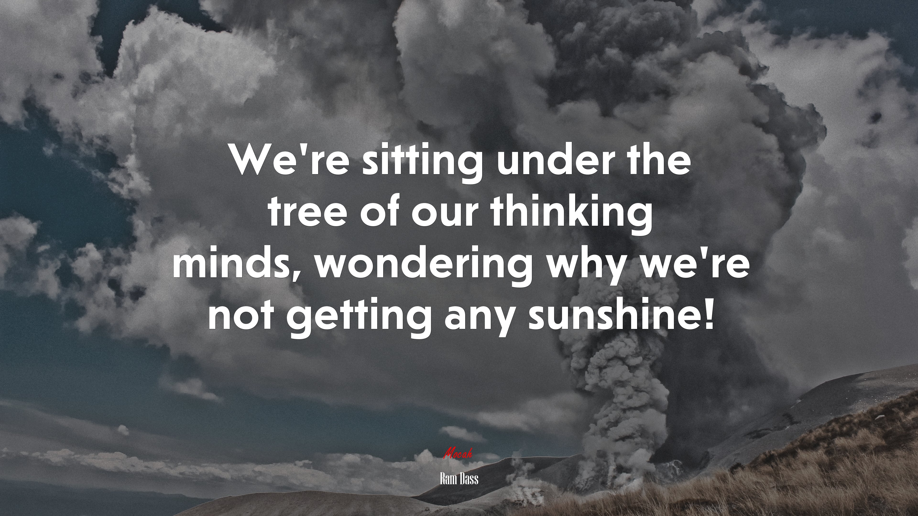 We’re sitting under the tree of our thinking minds, wondering why we’re not getting any sunshine! | Ram Dass quote HD Wallpaper