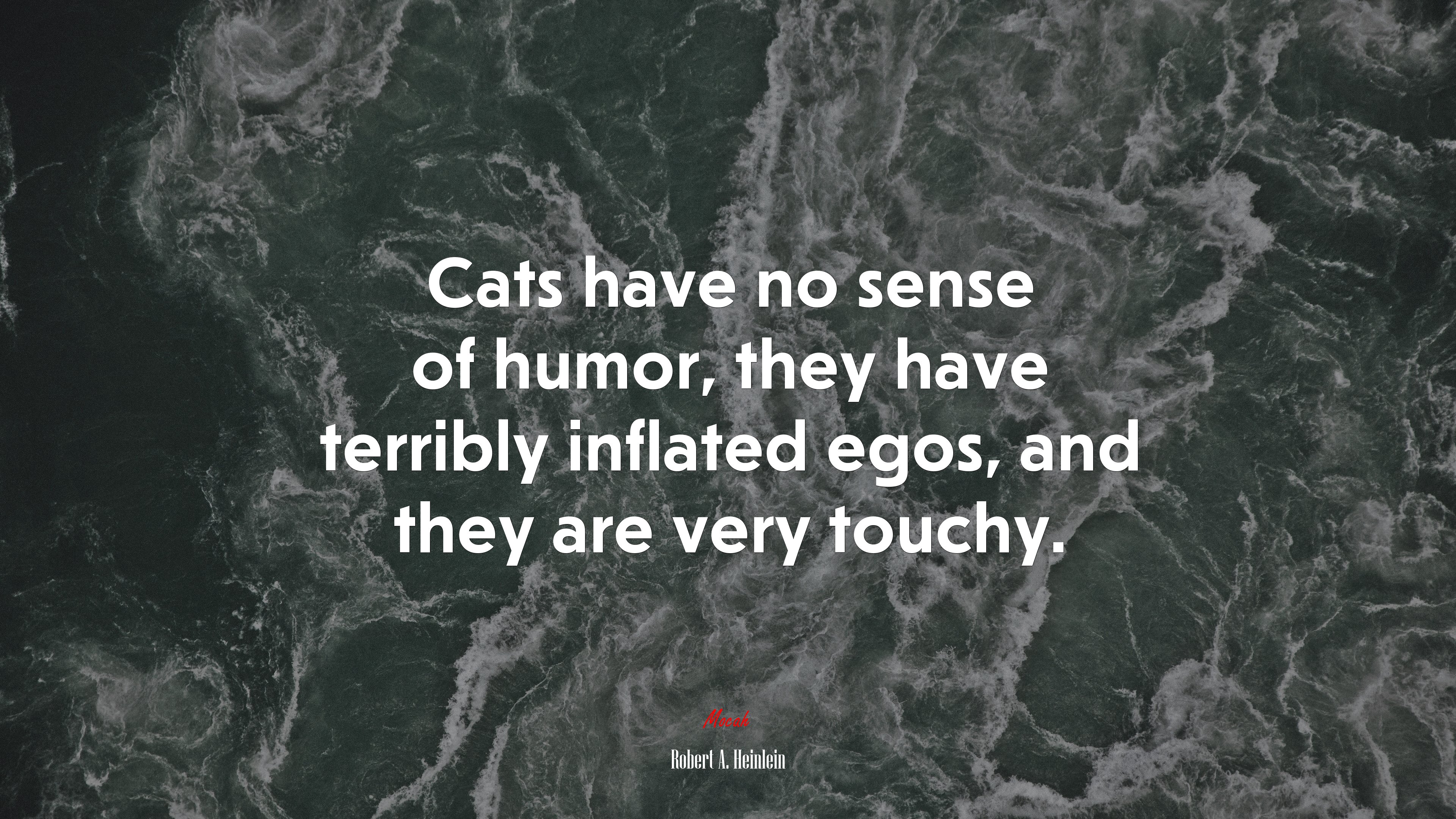 Cats have no sense of humor, they have terribly inflated egos, and they are very touchy. | Robert A. Heinlein quote HD Wallpaper