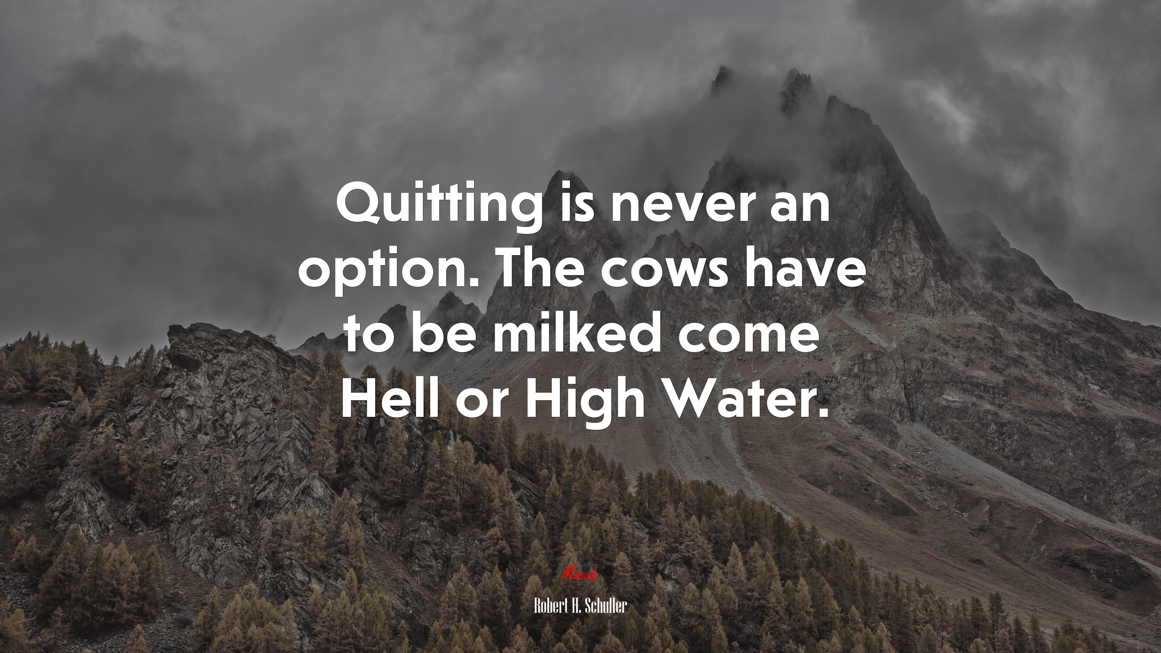 Quitting is never an option. The cows have to be milked come Hell or High Water. | Robert H. Schuller quote HD Wallpaper