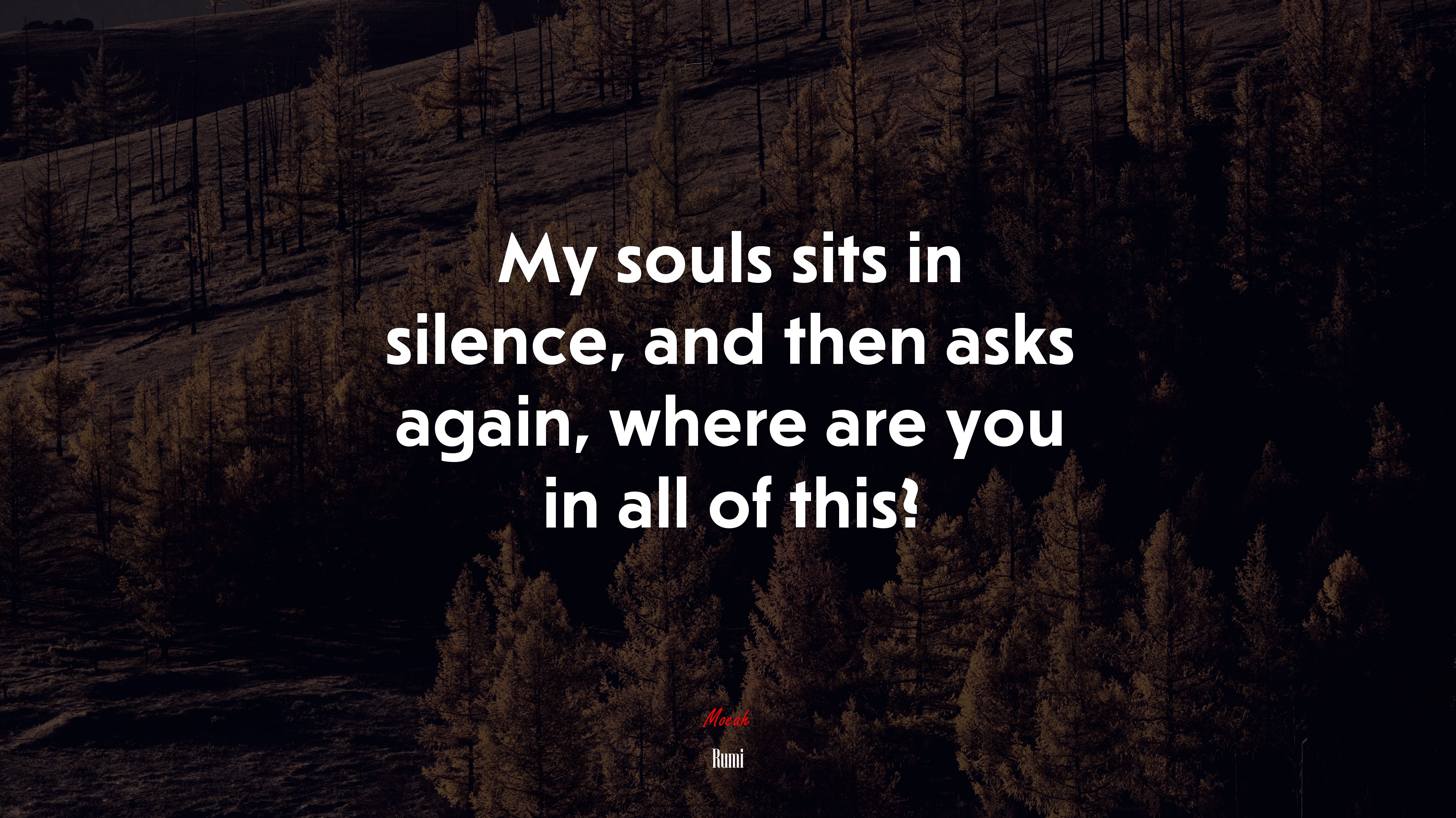 My souls sits in silence, and then asks again, where are you in all of this? | Rumi quote HD Wallpaper