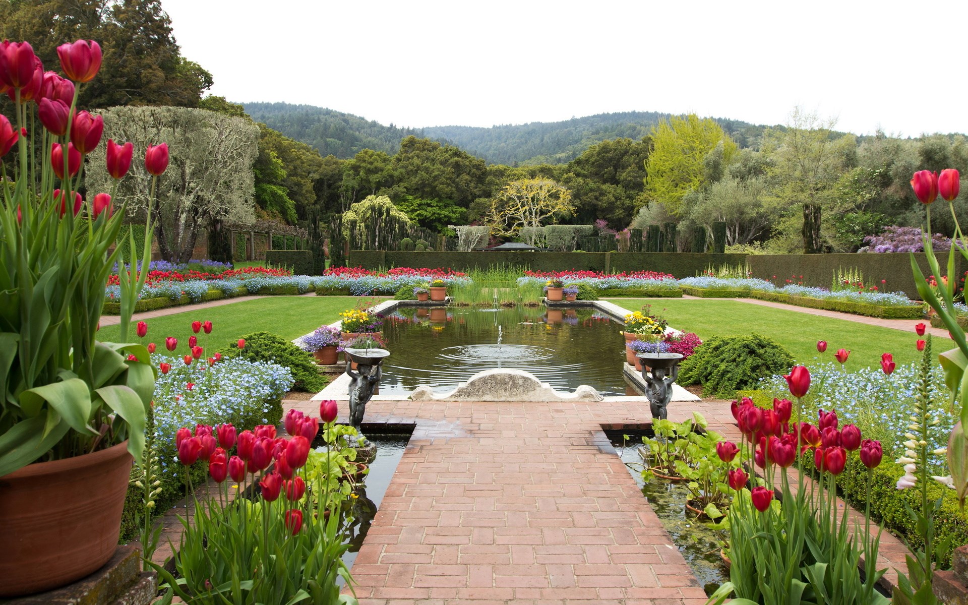 Formal garden with a pond and red tulips HD Wallpaper