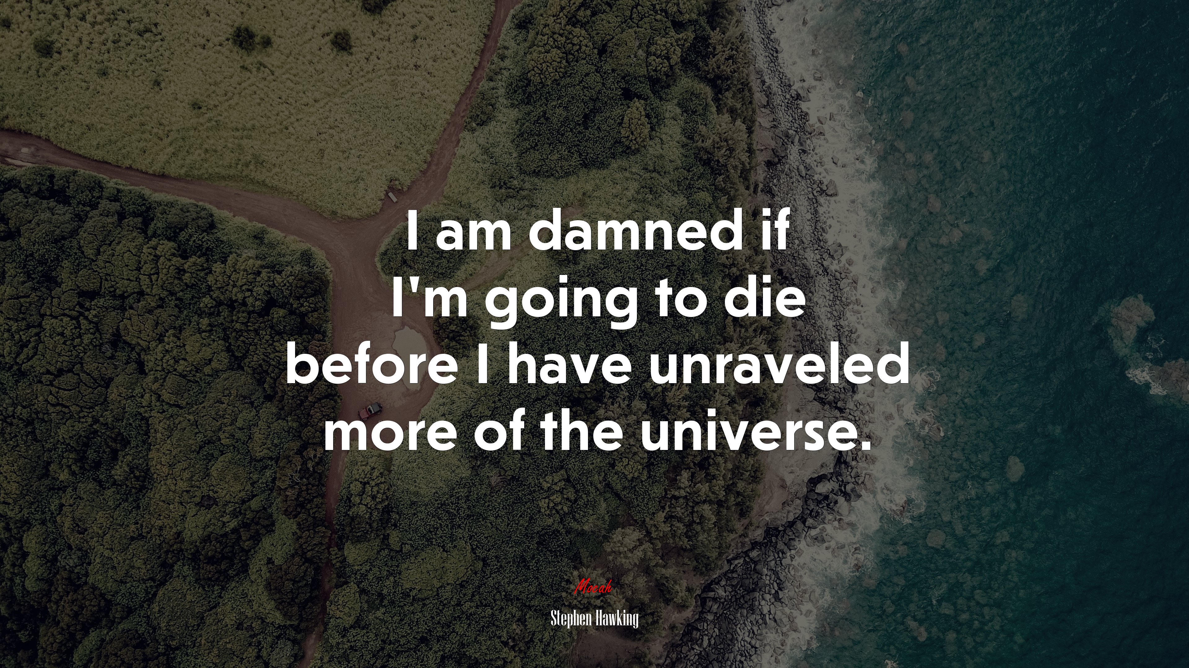 I am damned if I’m going to die before I have unraveled more of the universe. | Stephen Hawking quote HD Wallpaper