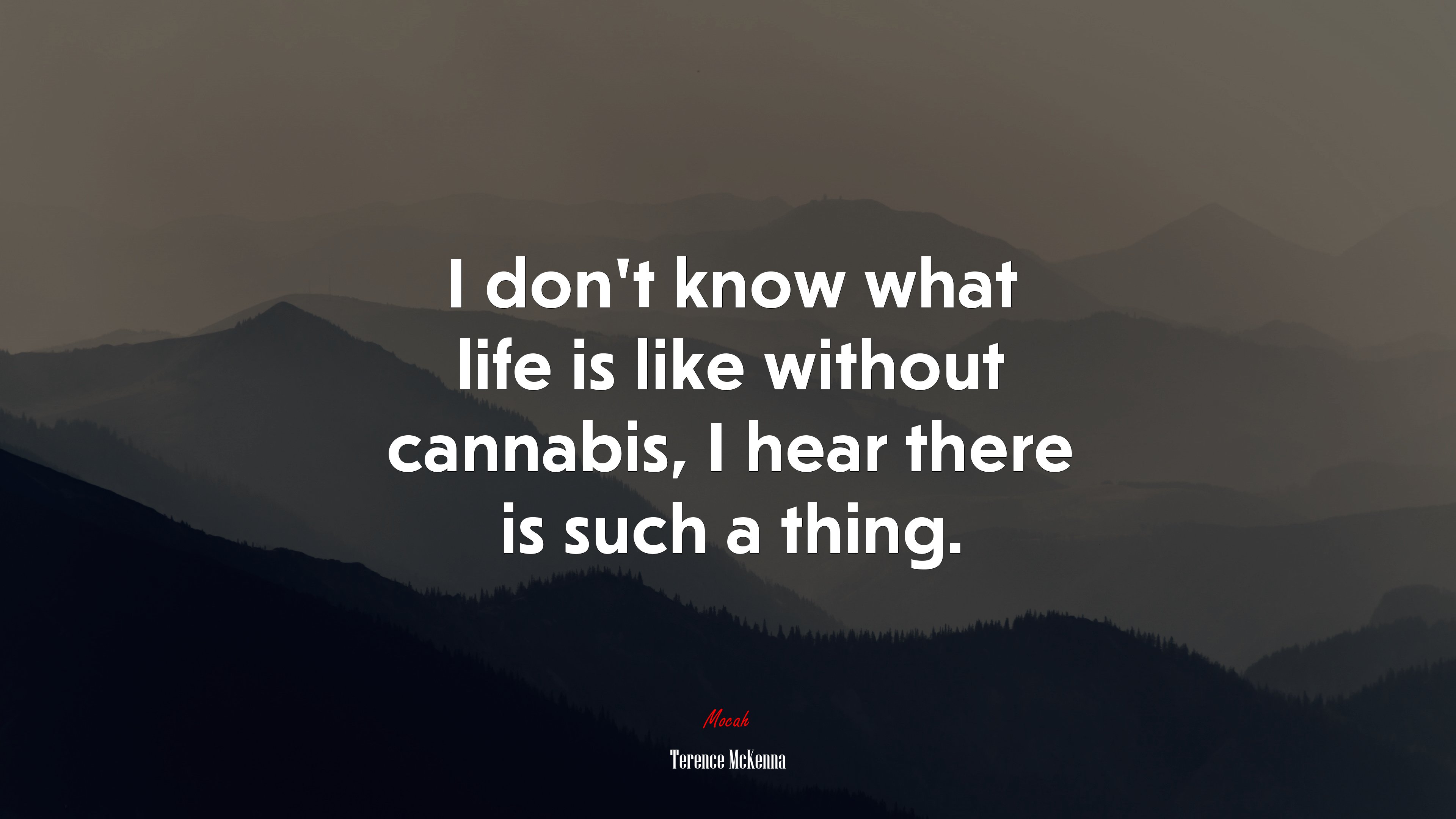 I don’t know what life is like without cannabis, I hear there is such a thing. | Terence McKenna quote HD Wallpaper