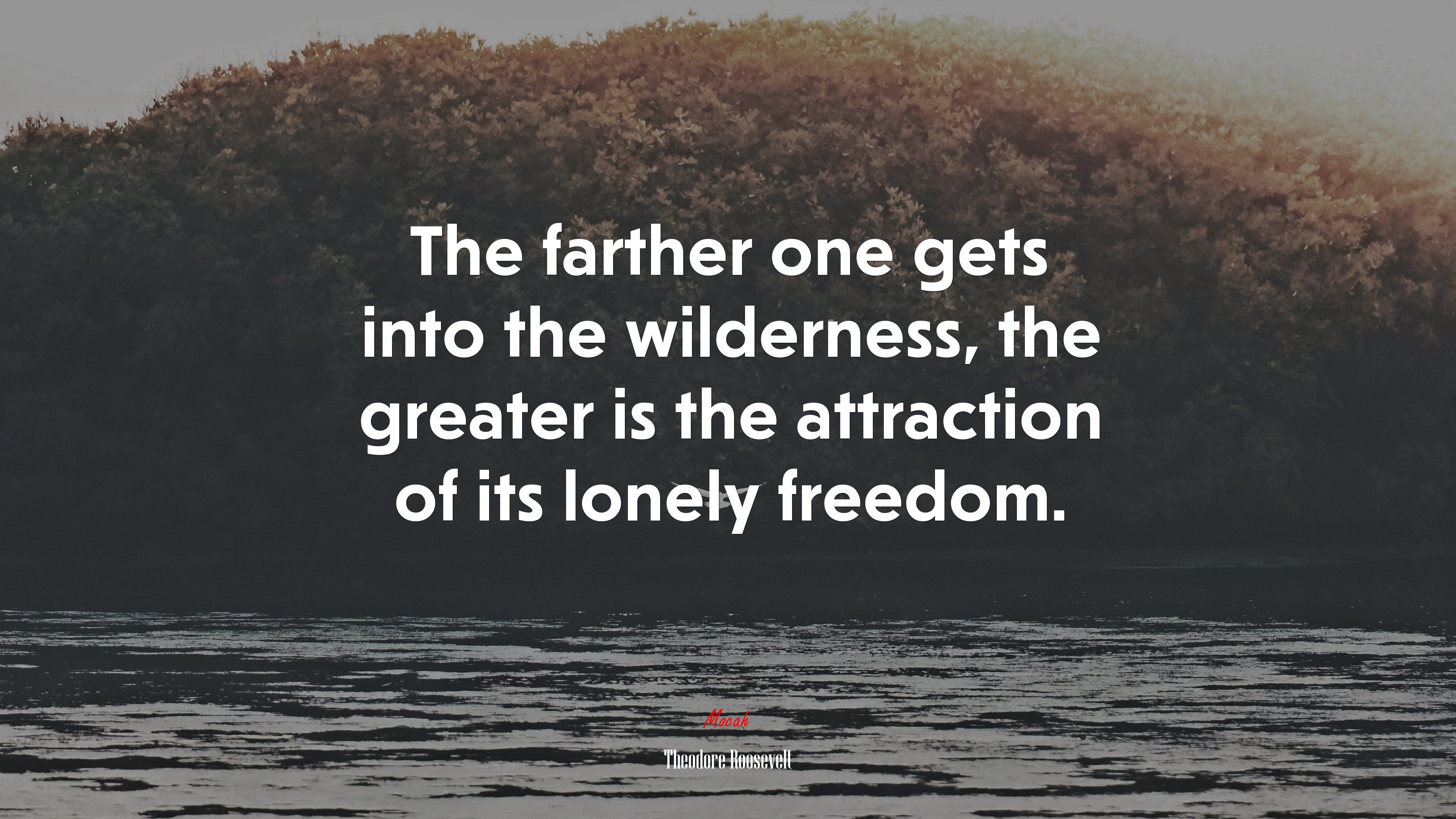 The farther one gets into the wilderness, the greater is the attraction of its lonely freedom. | Theodore Roosevelt quote HD Wallpaper