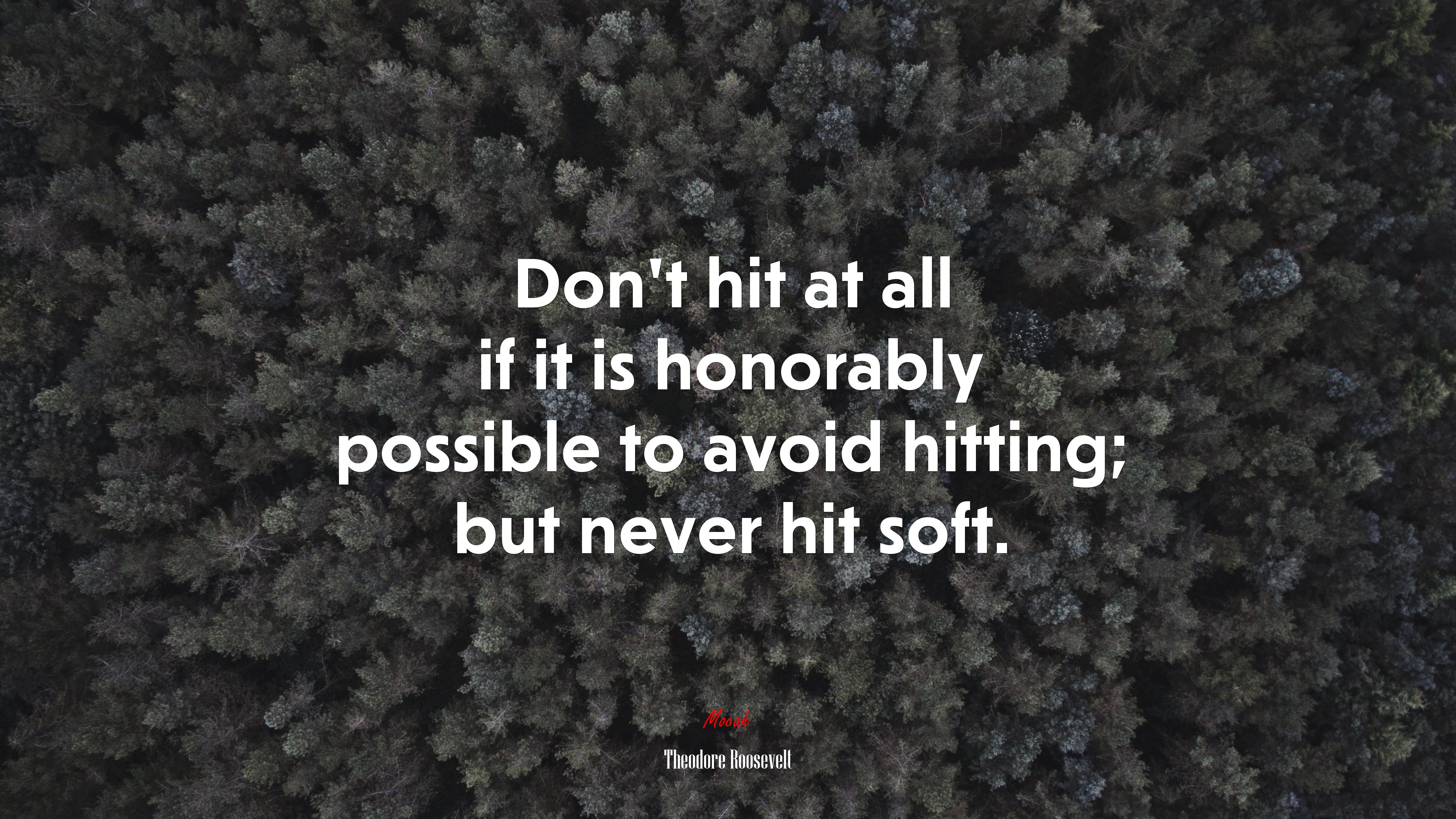 Don’t hit at all if it is honorably possible to avoid hitting; but never hit soft. | Theodore Roosevelt quote HD Wallpaper
