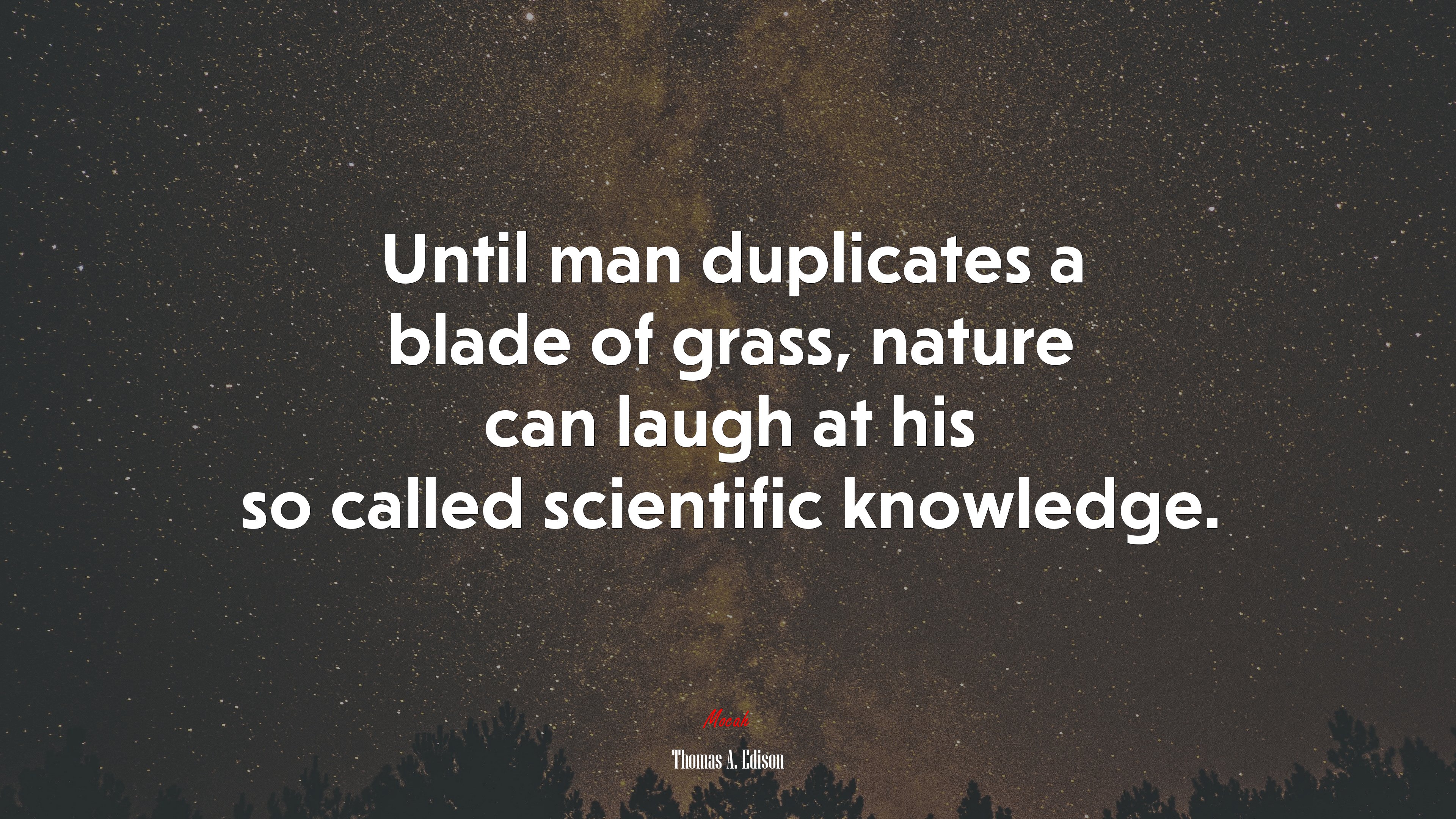 Until man duplicates a blade of grass, nature can laugh at his so called scientific knowledge. | Thomas A. Edison quote HD Wallpaper
