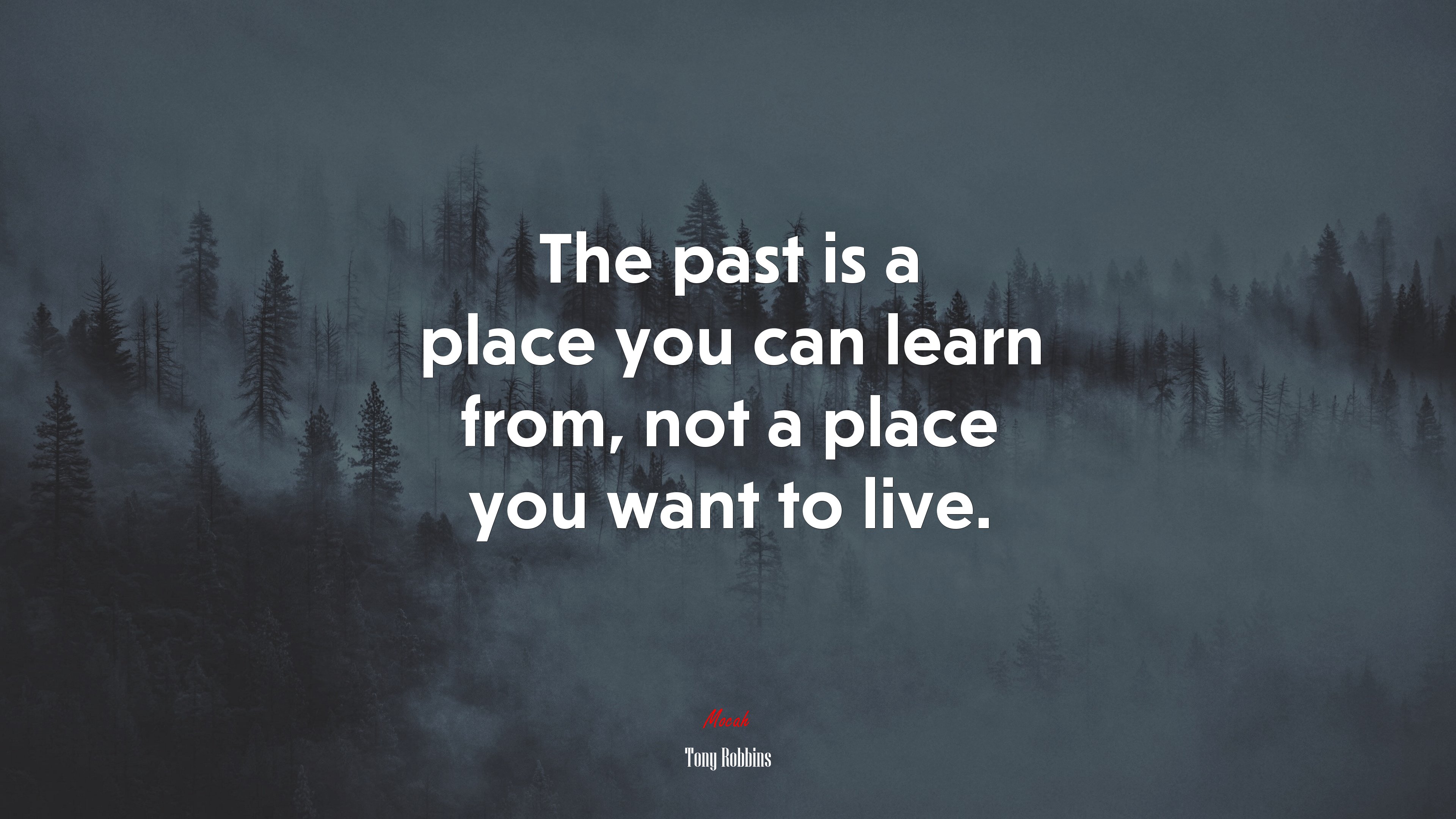 The past is a place you can learn from, not a place you want to live. | Tony Robbins quote HD Wallpaper