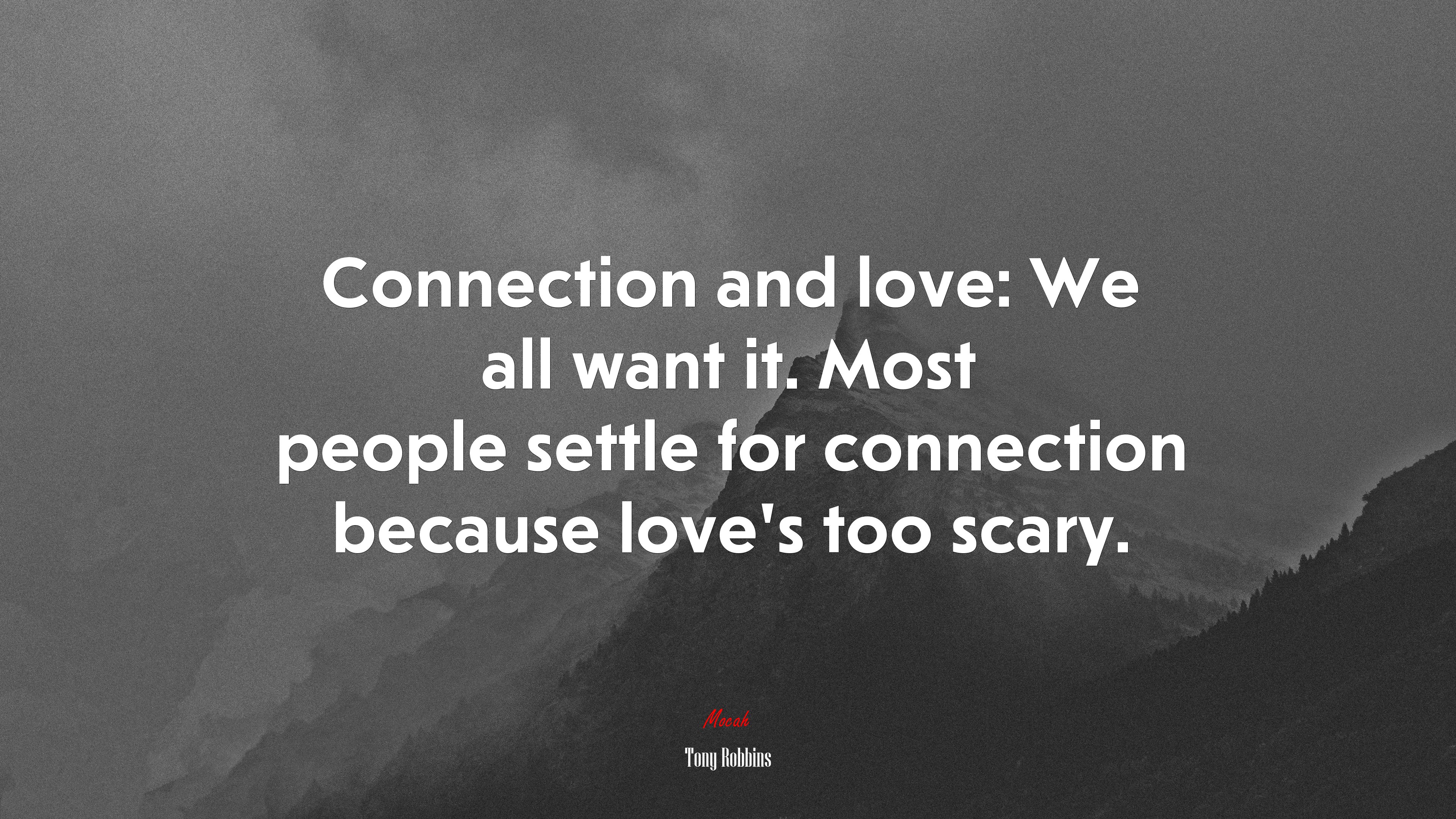 Connection and love: We all want it. Most people settle for connection because love’s too scary. | Tony Robbins quote HD Wallpaper