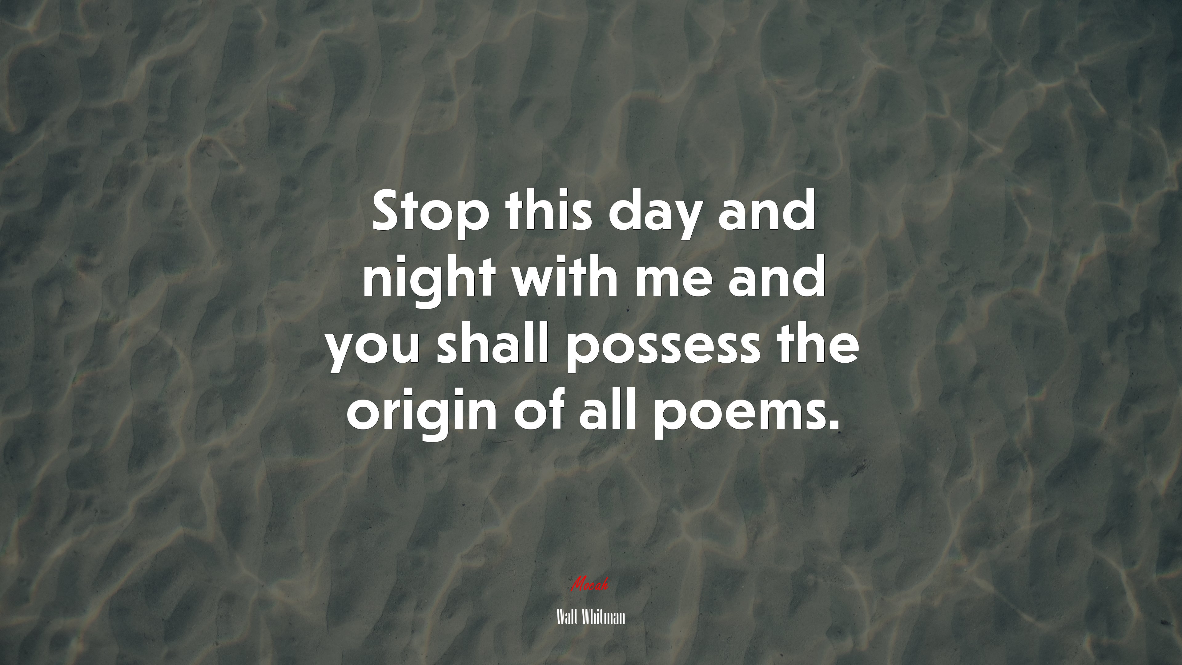 Stop this day and night with me and you shall possess the origin of all poems. | Walt Whitman quote HD Wallpaper