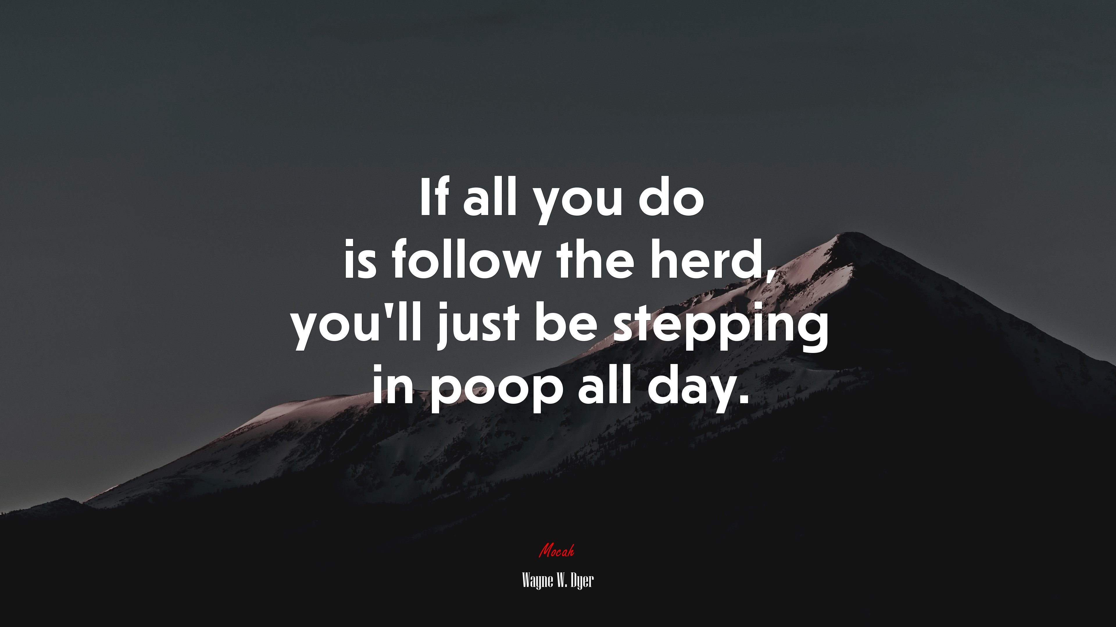 If all you do is follow the herd, you’ll just be stepping in poop all day. | Wayne W. Dyer quote HD Wallpaper