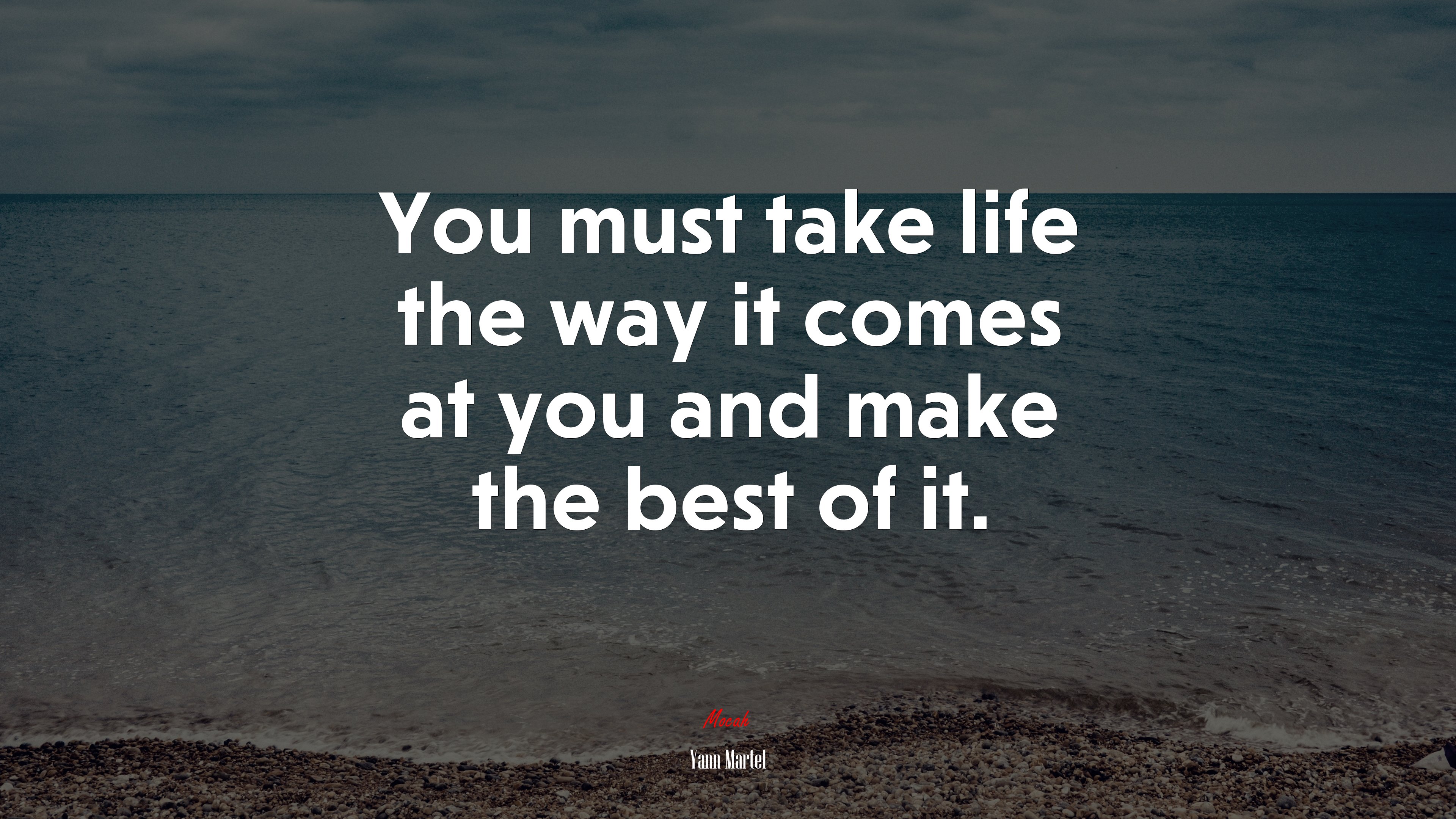 You must take life the way it comes at you and make the best of it. | Yann Martel quote HD Wallpaper