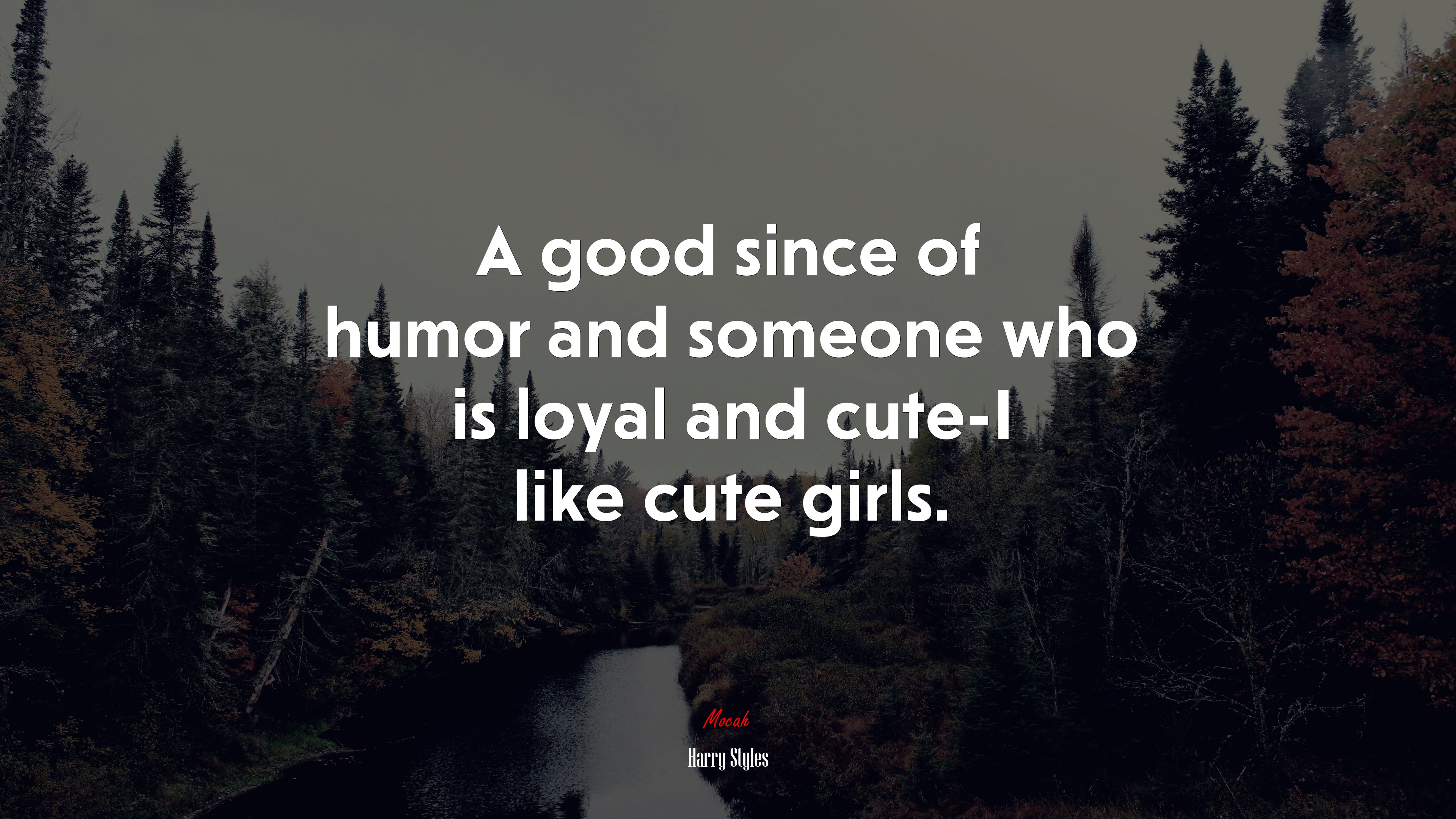 A good since of humor and someone who is loyal and cute-I like cute girls. | Harry Styles quote HD Wallpaper
