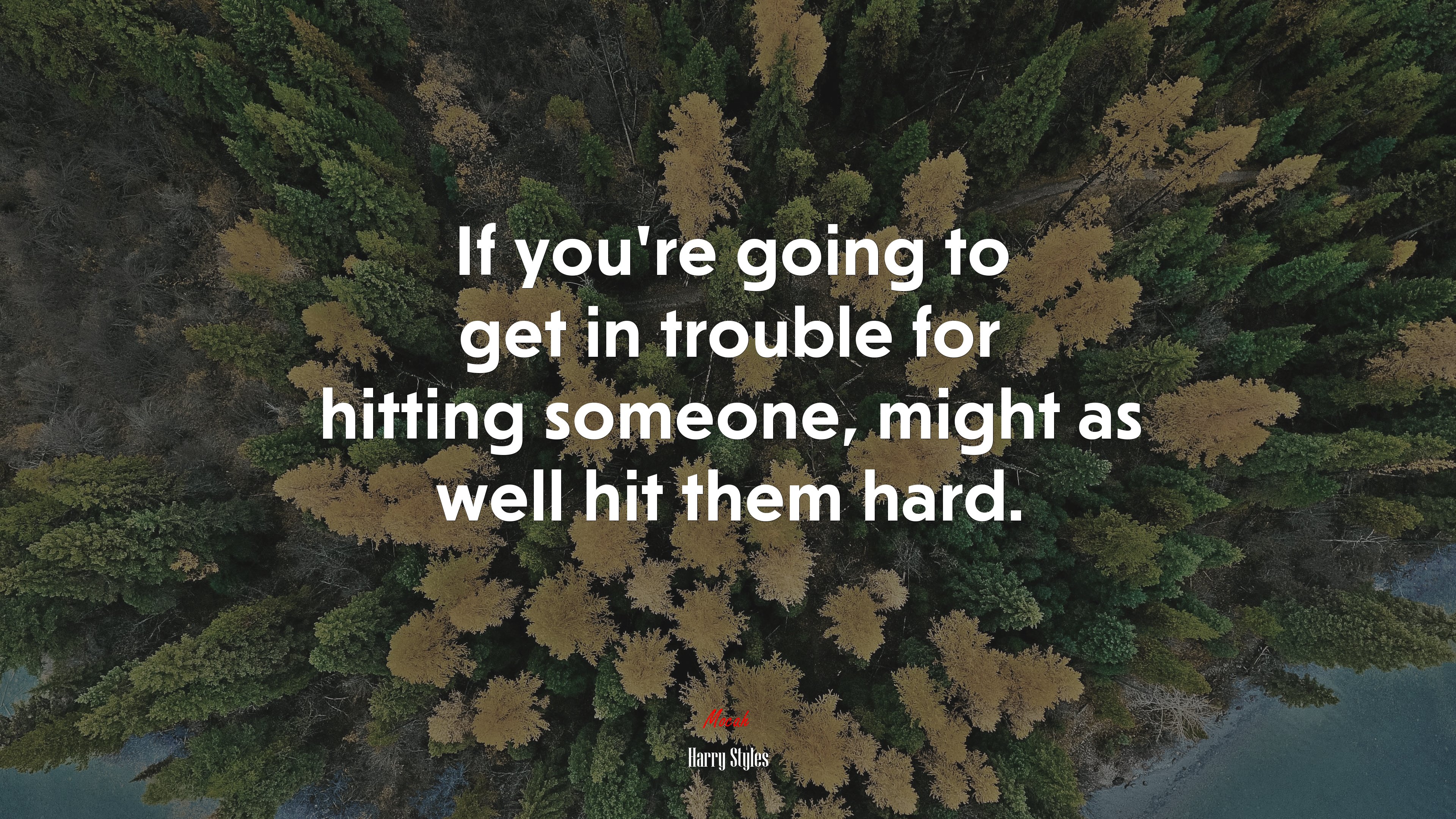 If you’re going to get in trouble for hitting someone, might as well hit them hard. | Harry Styles quote HD Wallpaper
