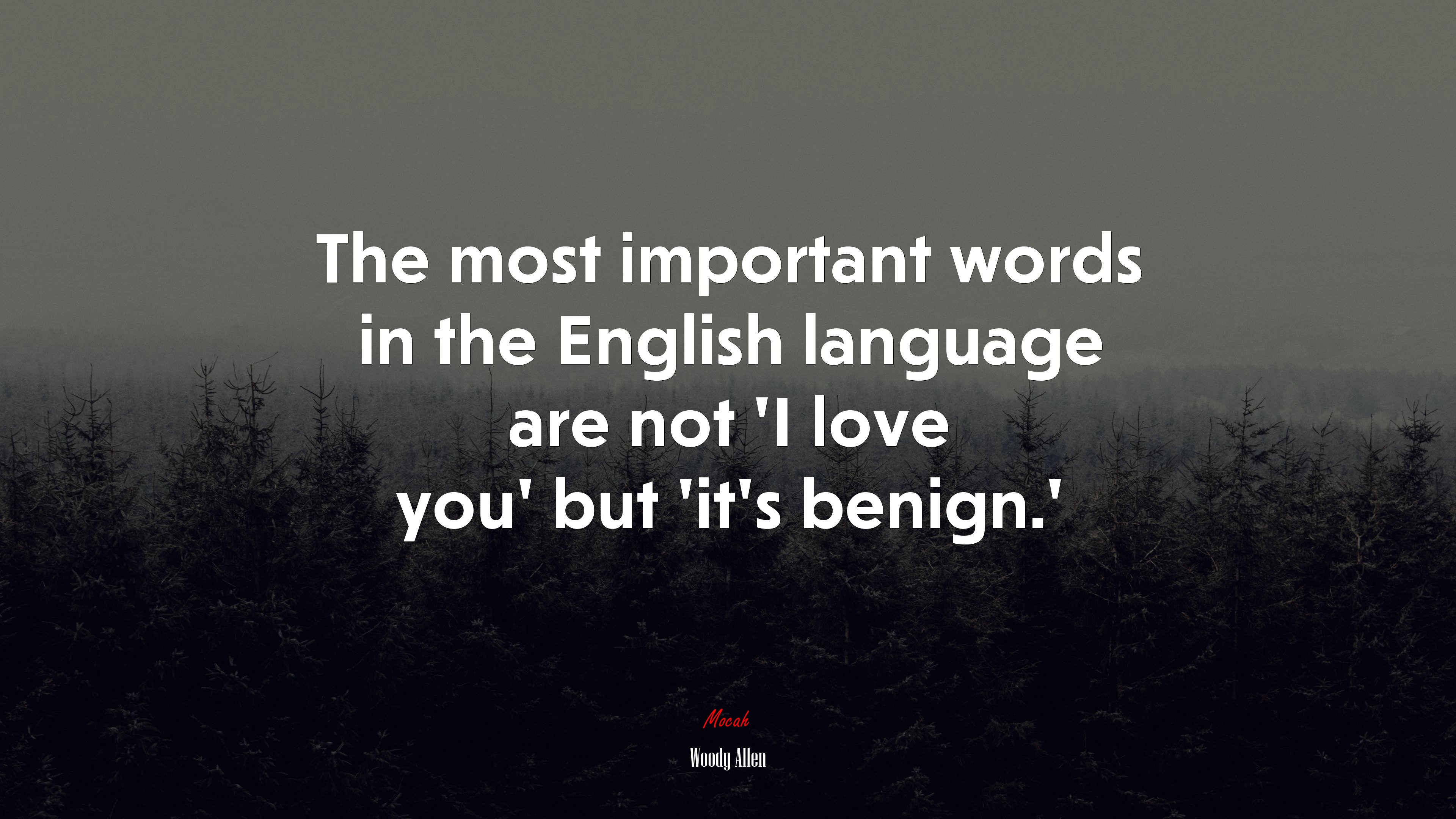 The most important words in the English language are not ‘I love you’ but ‘it’s benign.’ | Woody Allen quote HD Wallpaper