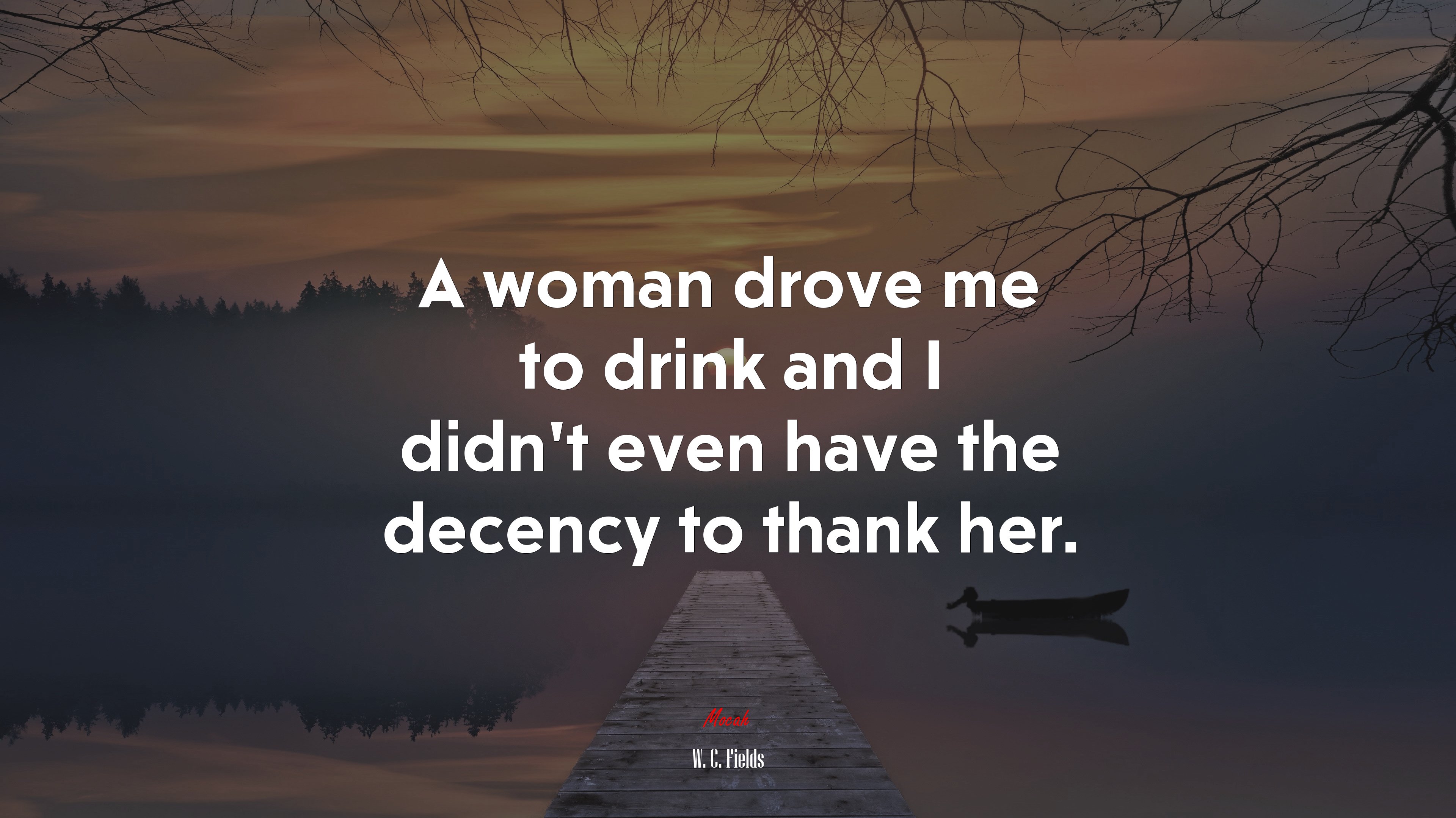 A woman drove me to drink and I didn’t even have the decency to thank her. | W. C. Fields quote HD Wallpaper