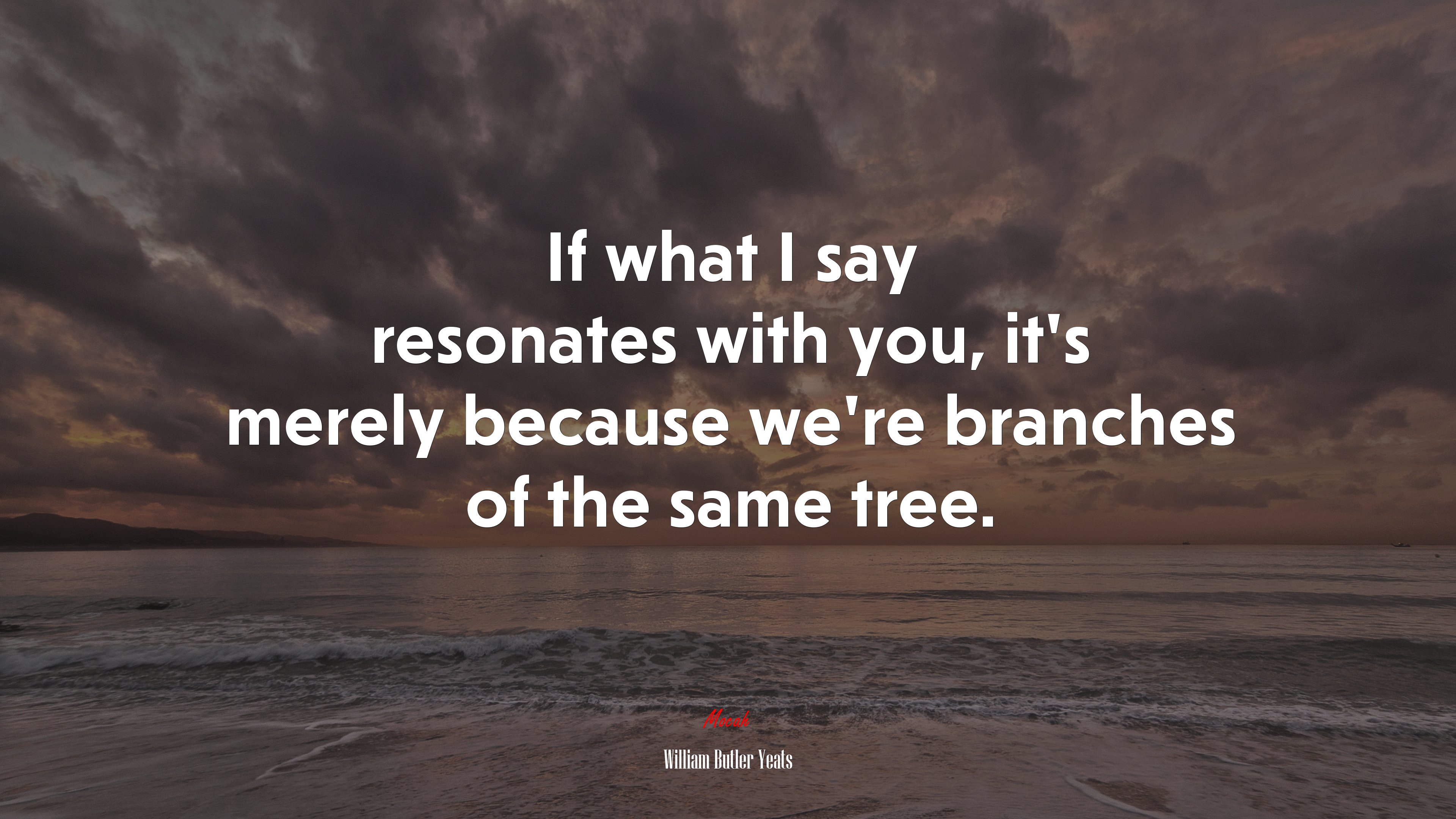 If what I say resonates with you, it’s merely because we’re branches of the same tree. | William Butler Yeats quote HD Wallpaper