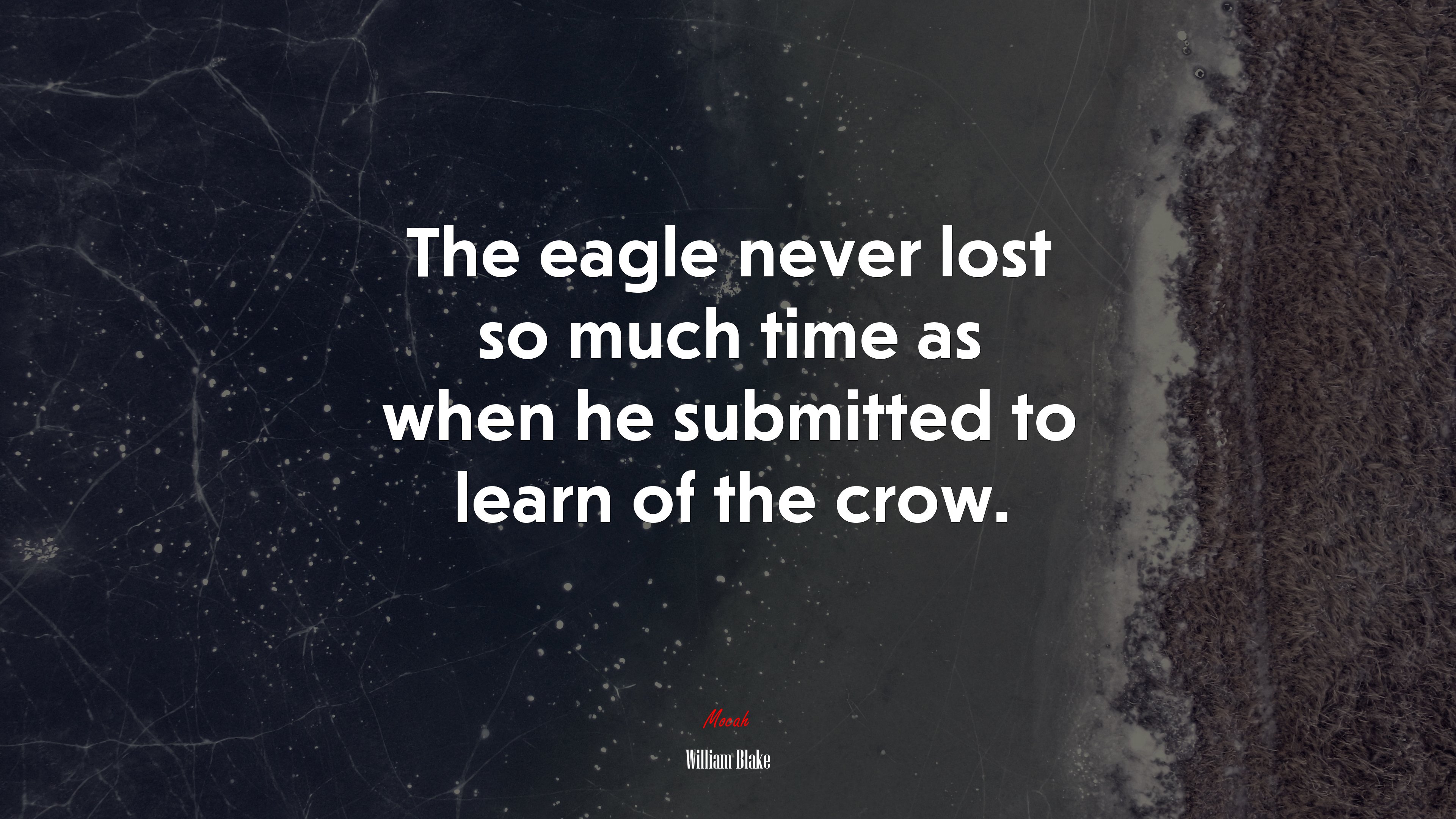 The eagle never lost so much time as when he submitted to learn of the crow. | William Blake quote HD Wallpaper