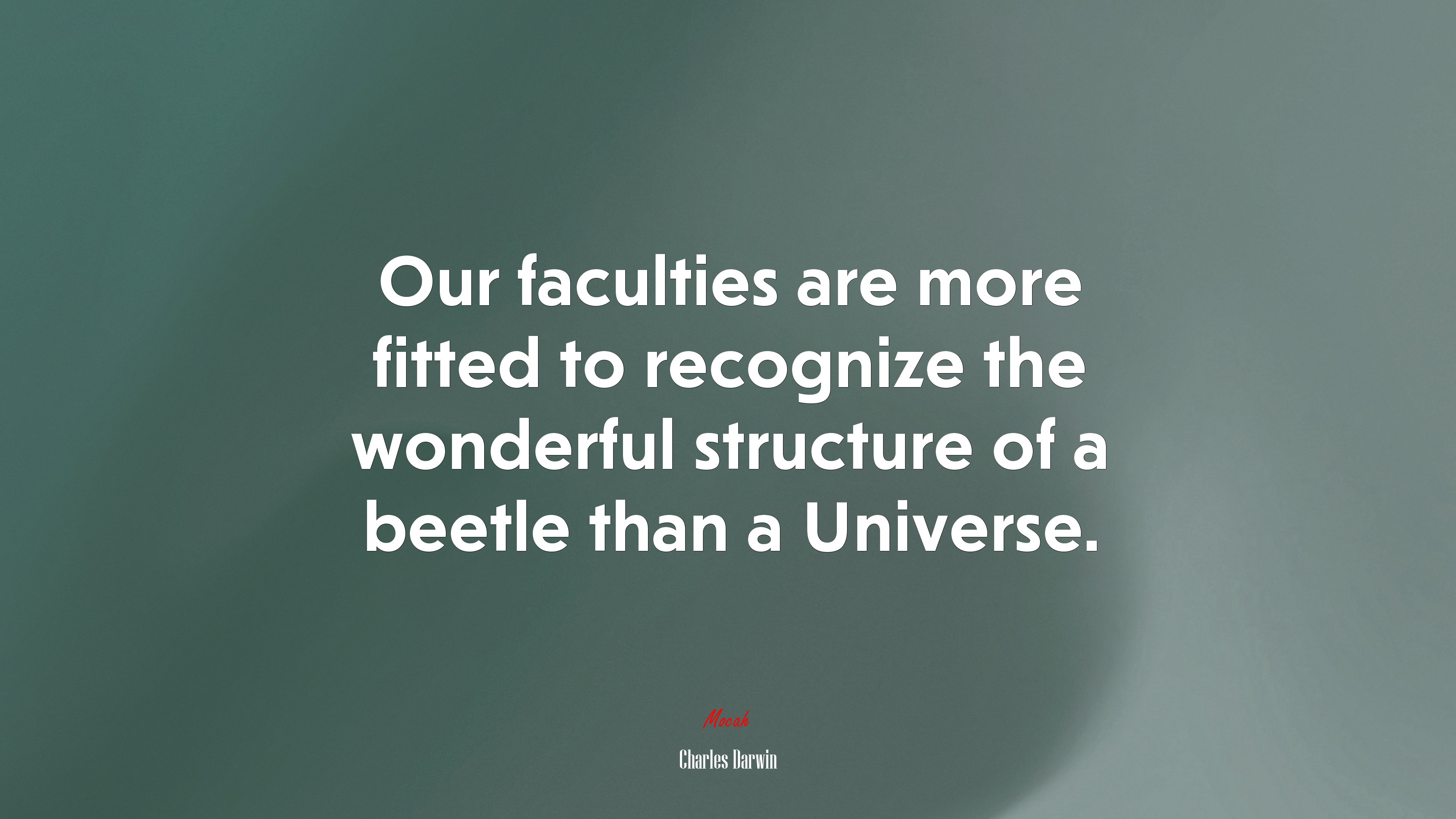 Our faculties are more fitted to recognize the wonderful structure of a beetle than a Universe. | Charles Darwin quote HD Wallpaper
