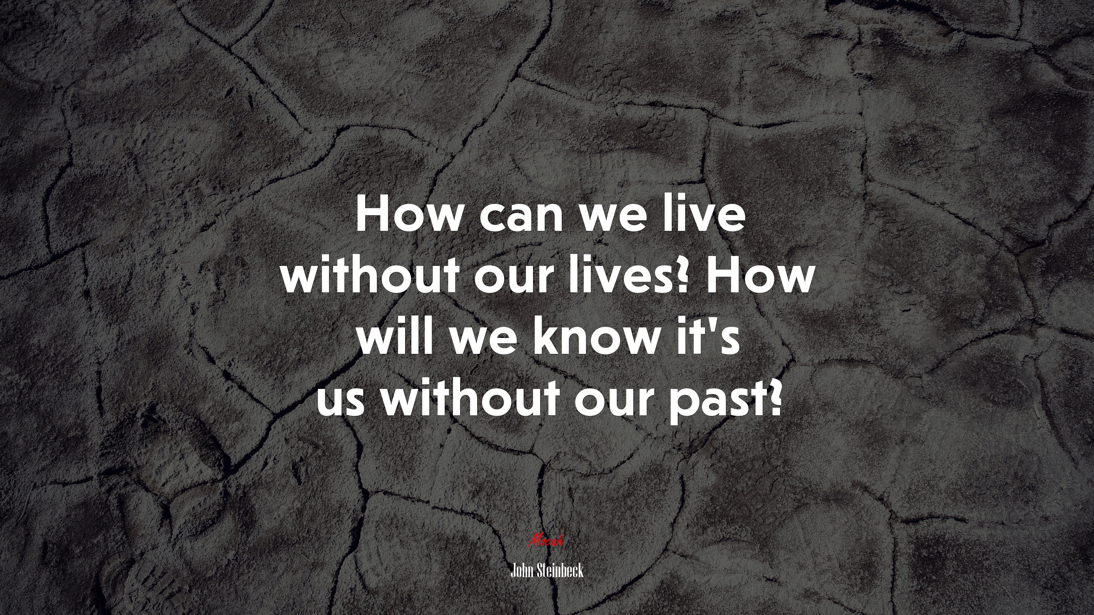 How can we live without our lives? How will we know it’s us without our past? | John Steinbeck quote HD Wallpaper