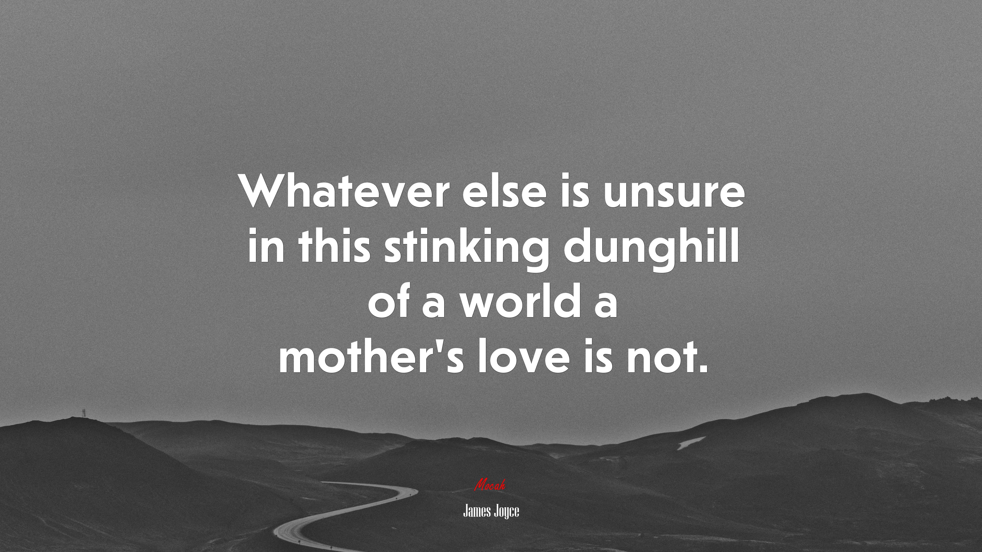 Whatever else is unsure in this stinking dunghill of a world a mother’s love is not. | James Joyce quote HD Wallpaper
