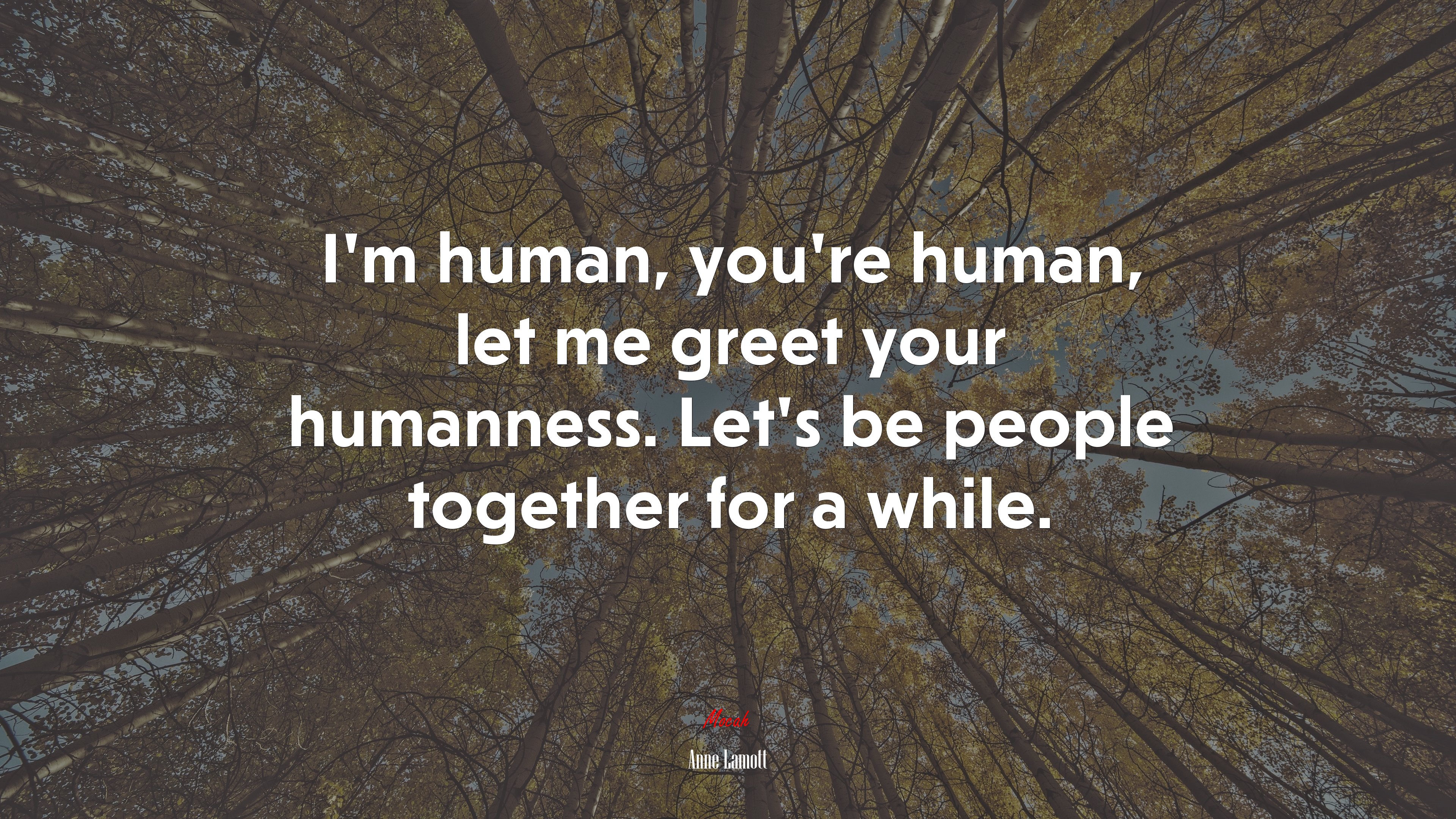 I’m human, you’re human, let me greet your humanness. Let’s be people together for a while. | Anne Lamott quote HD Wallpaper