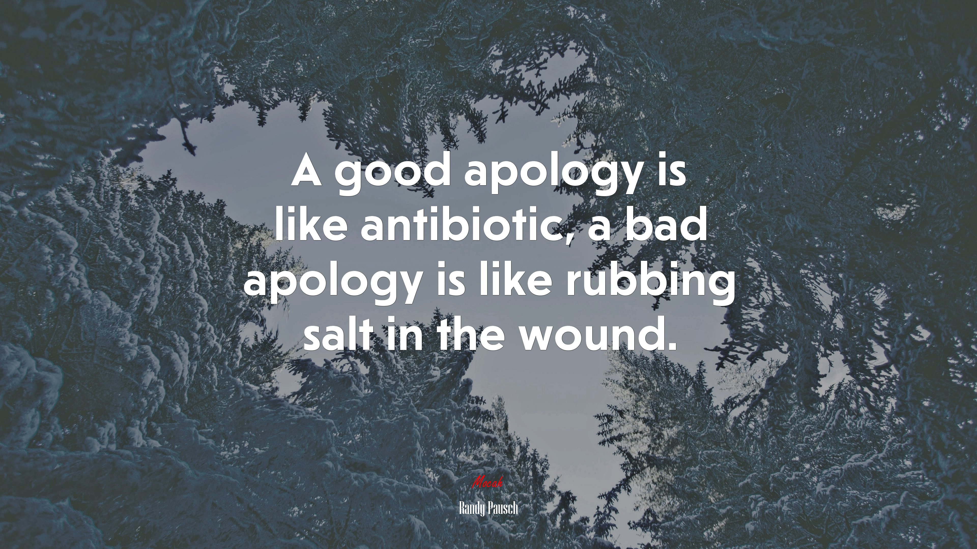 A good apology is like antibiotic, a bad apology is like rubbing salt in the wound. | Randy Pausch quote HD Wallpaper