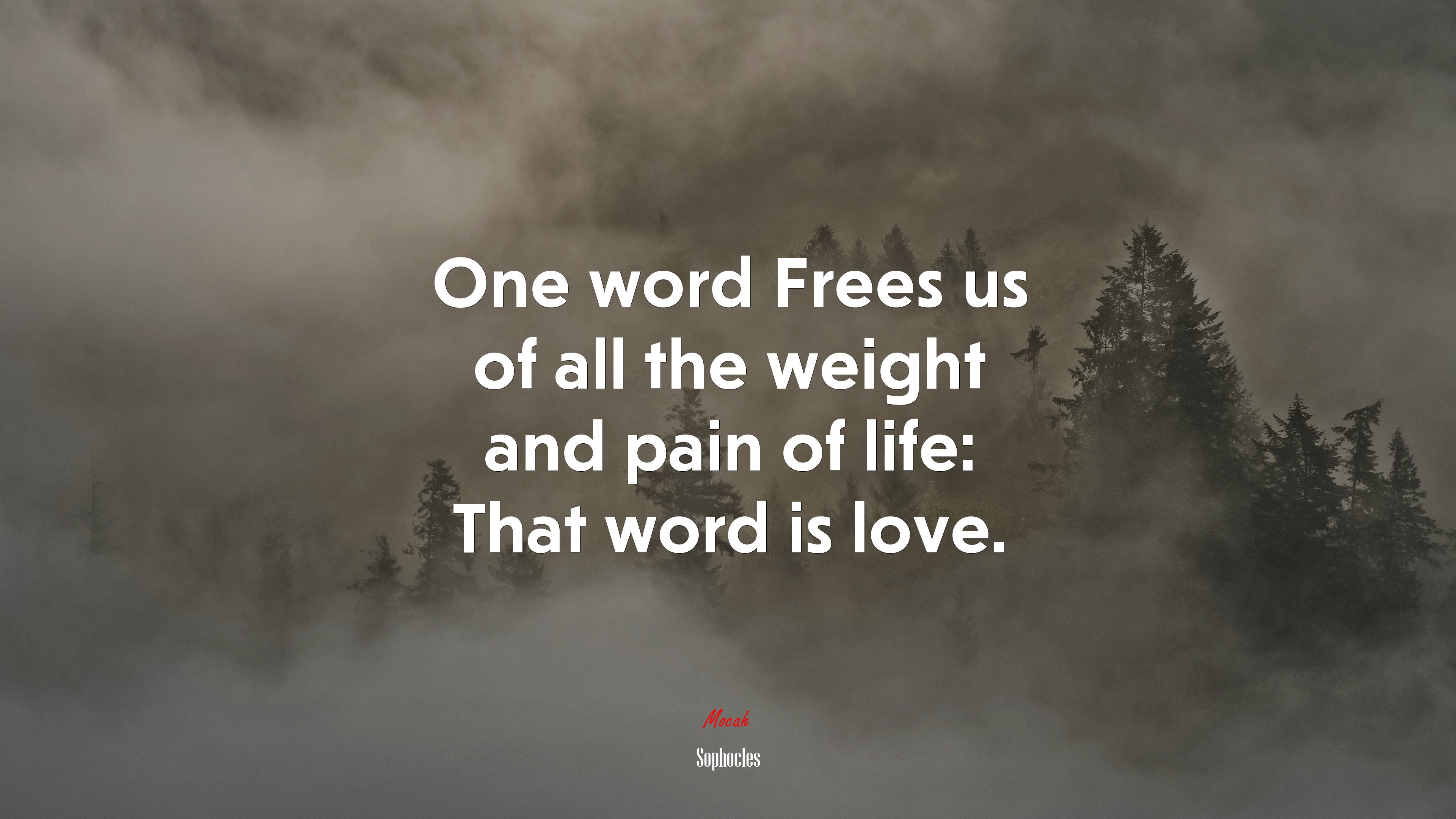One word Frees us of all the weight and pain of life: That word is love. | Sophocles quote HD Wallpaper