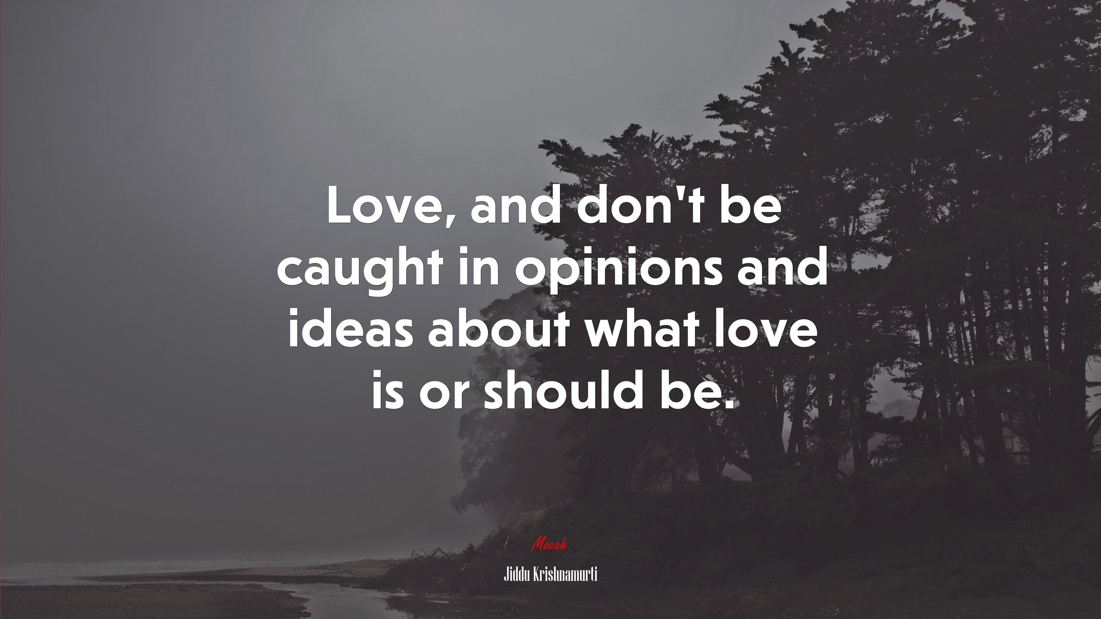 Love, and don’t be caught in opinions and ideas about what love is or should be. | Jiddu Krishnamurti quote HD Wallpaper