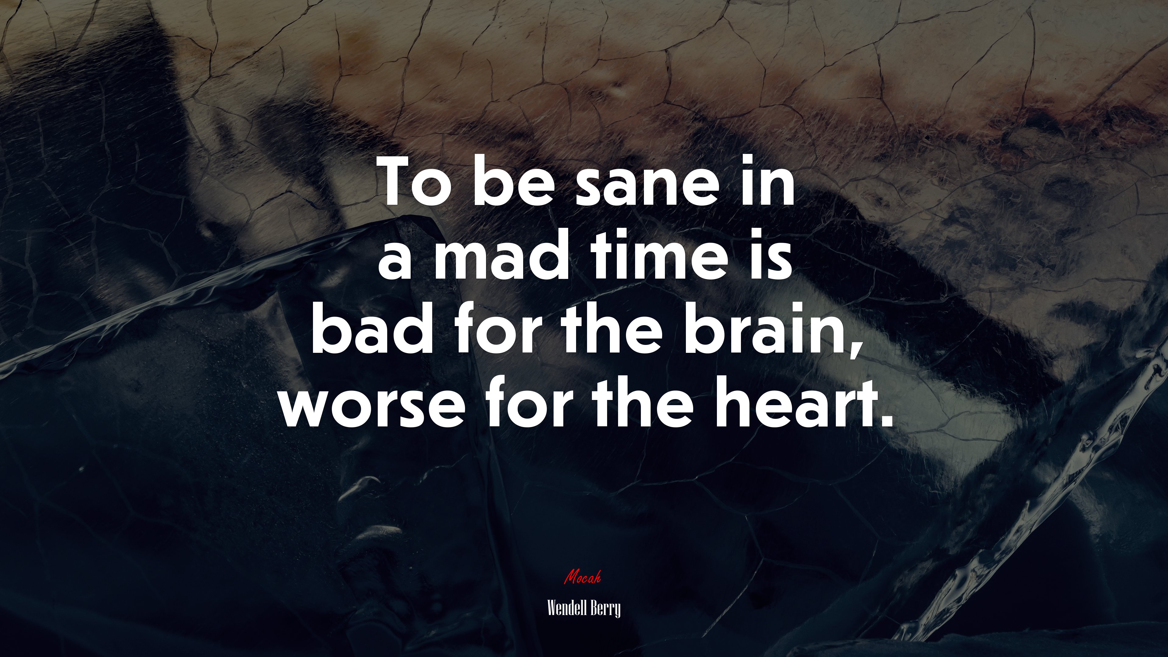 To be sane in a mad time is bad for the brain, worse for the heart. | Wendell Berry quote HD Wallpaper