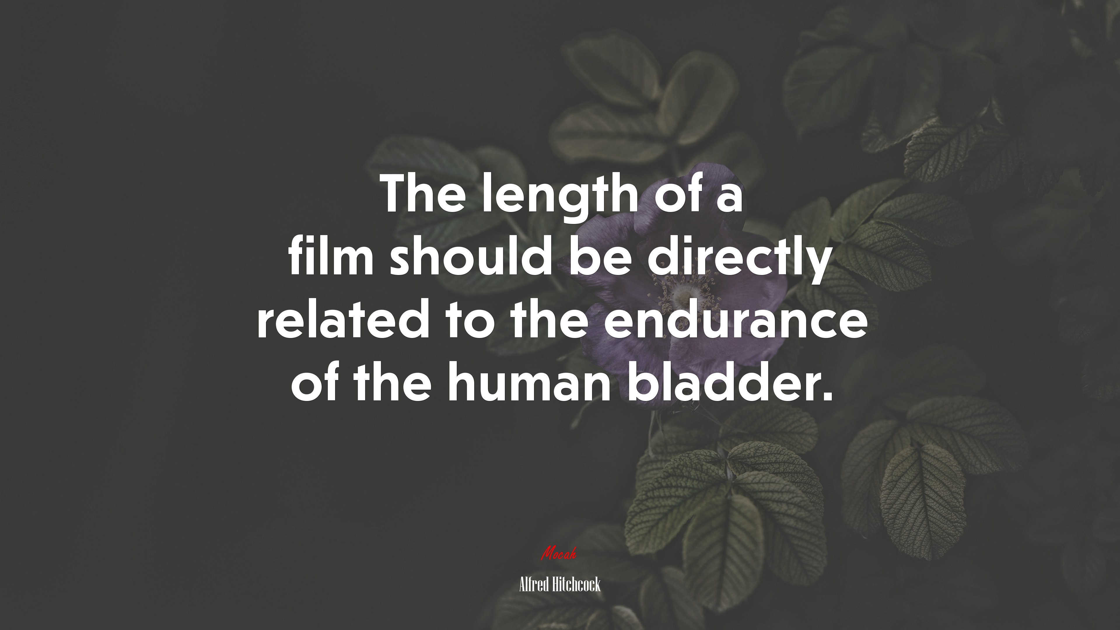 The length of a film should be directly related to the endurance of the human bladder. | Alfred Hitchcock quote HD Wallpaper
