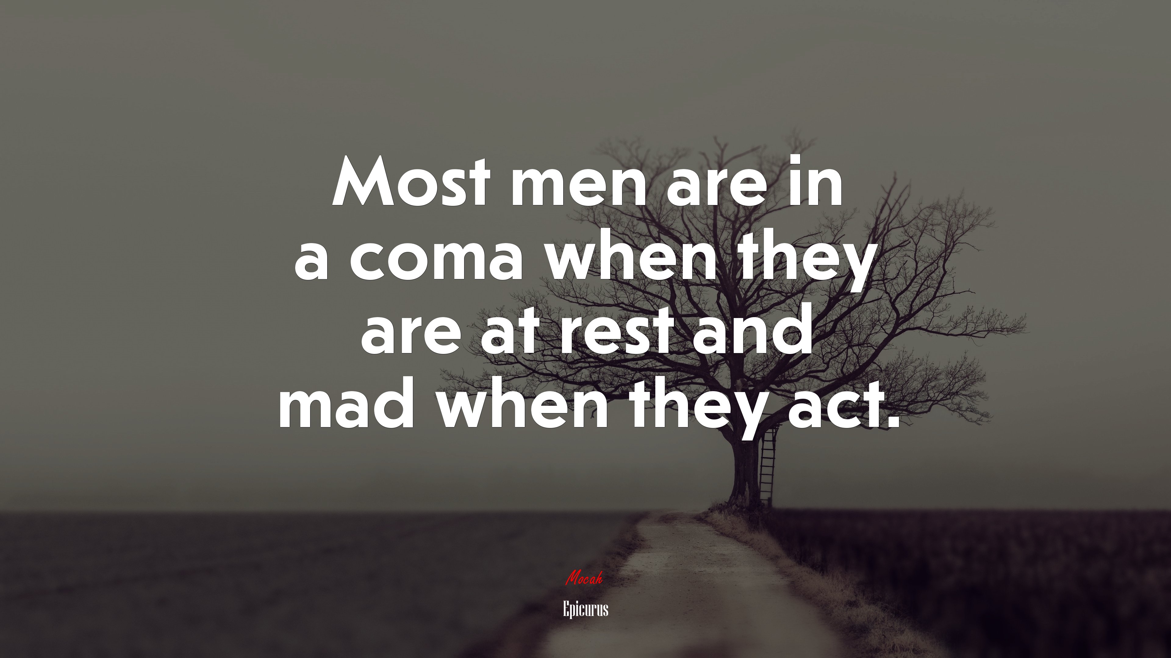 Most men are in a coma when they are at rest and mad when they act. | Epicurus quote HD Wallpaper