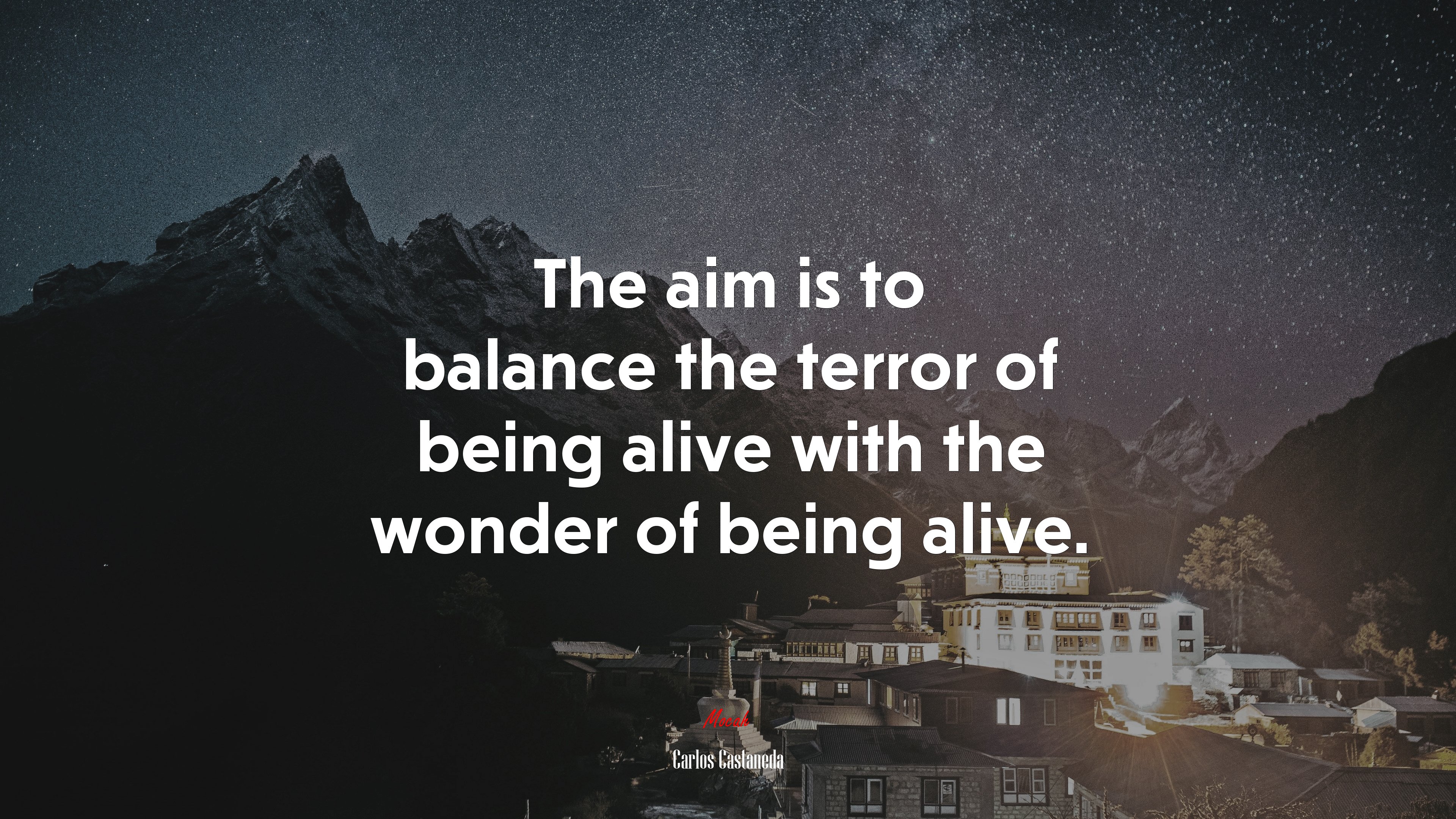 The aim is to balance the terror of being alive with the wonder of being alive. | Carlos Castaneda quote HD Wallpaper
