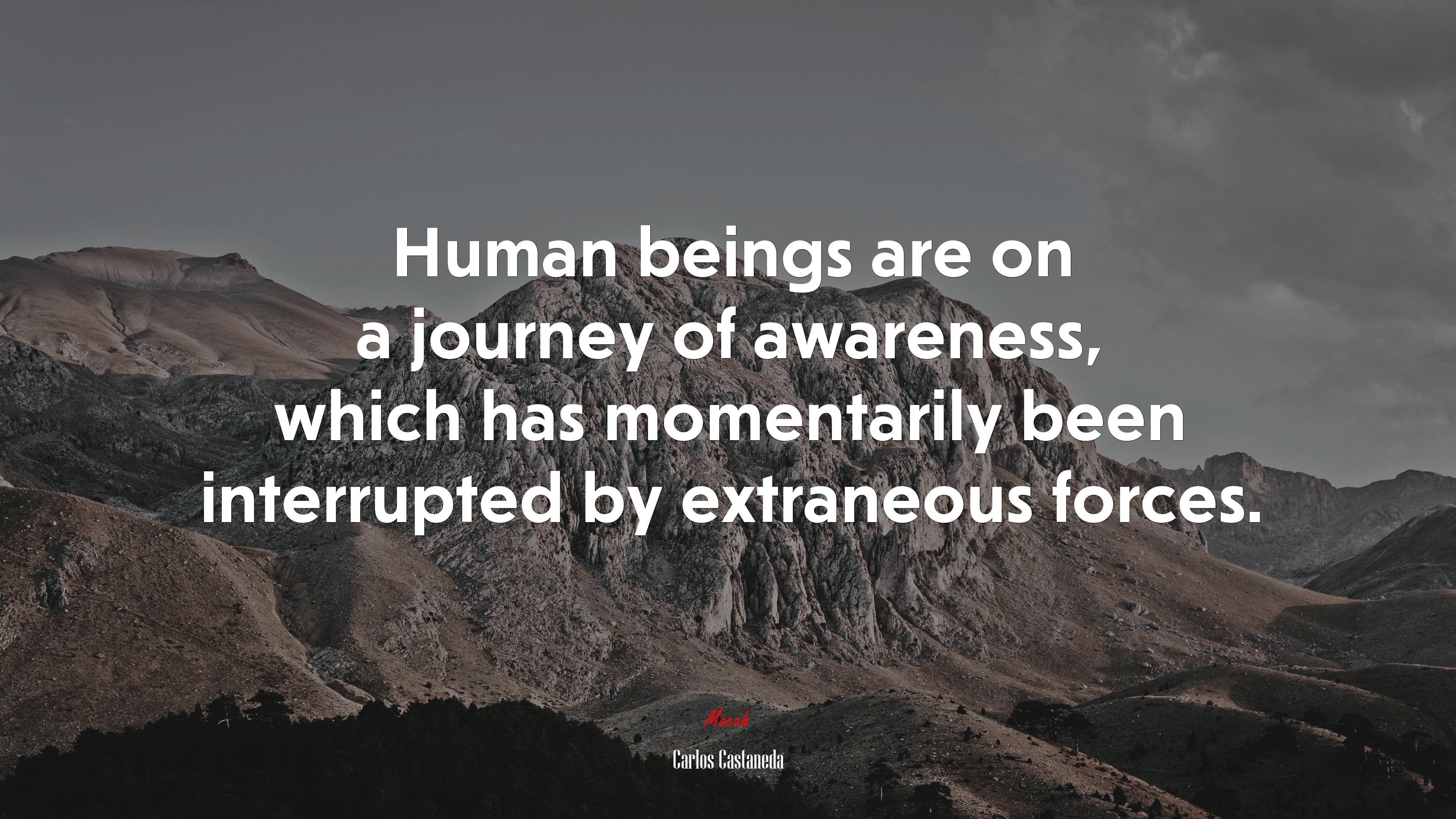 Human beings are on a journey of awareness, which has momentarily been interrupted by extraneous forces. | Carlos Castaneda quote HD Wallpaper