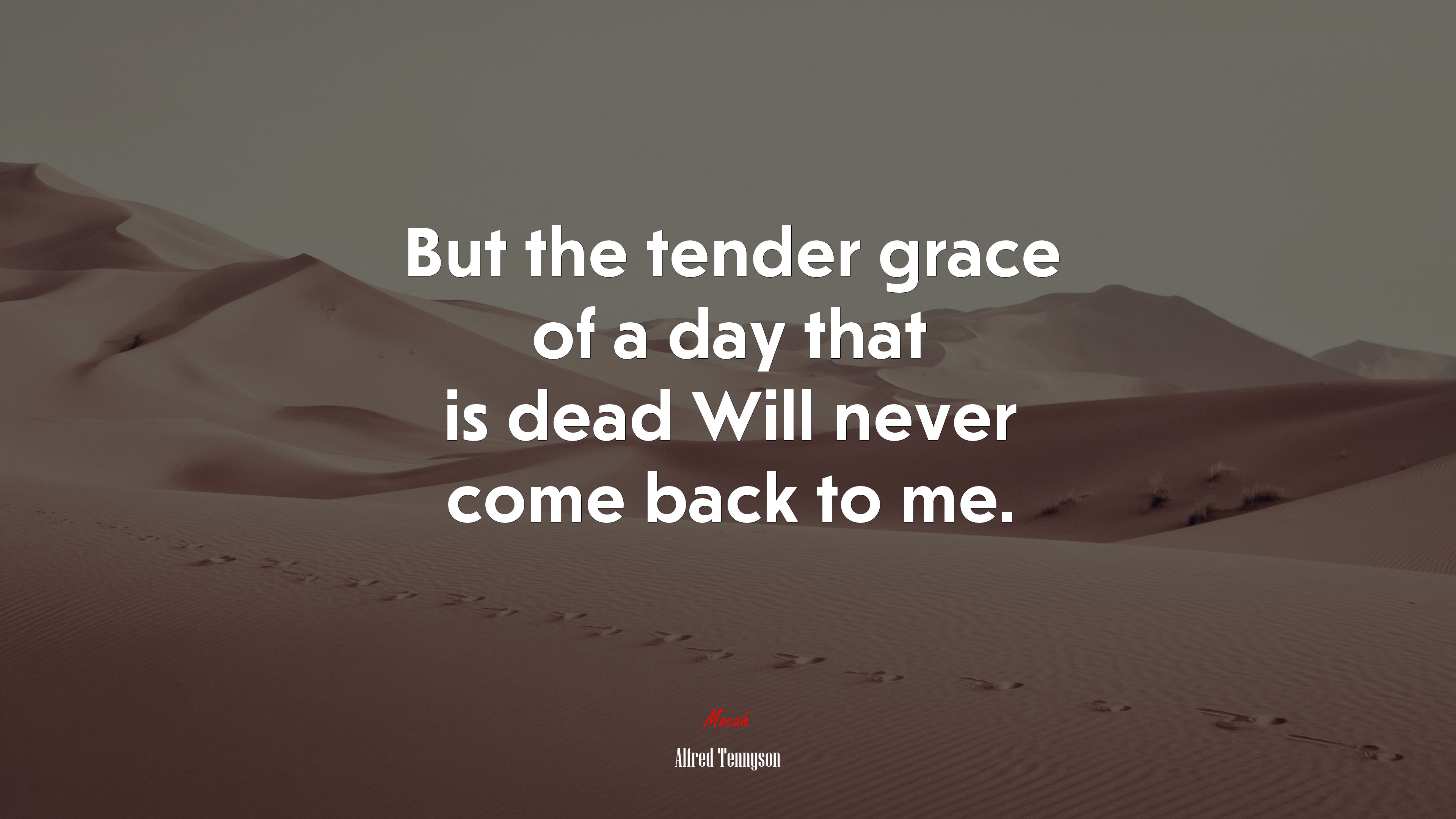 But the tender grace of a day that is dead Will never come back to me. | Alfred Tennyson quote HD Wallpaper